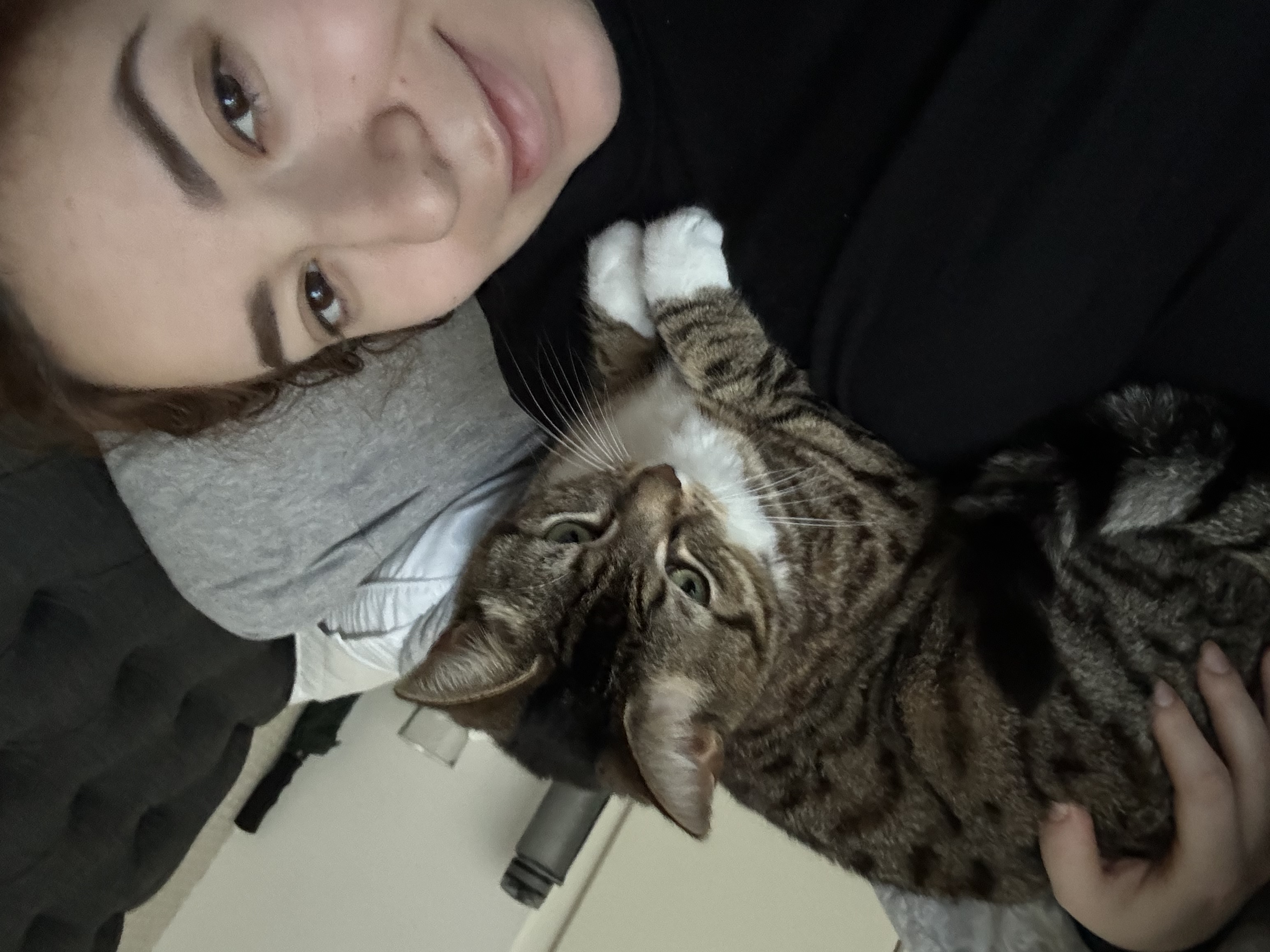 image-7