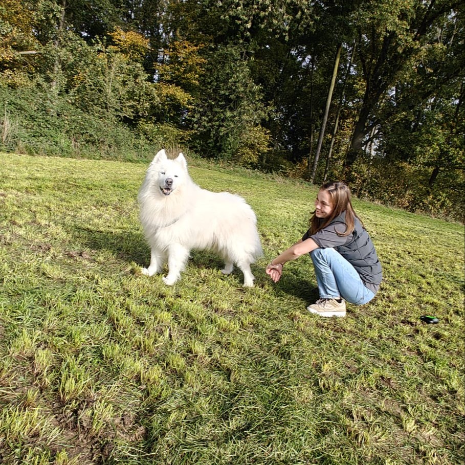 Ivona