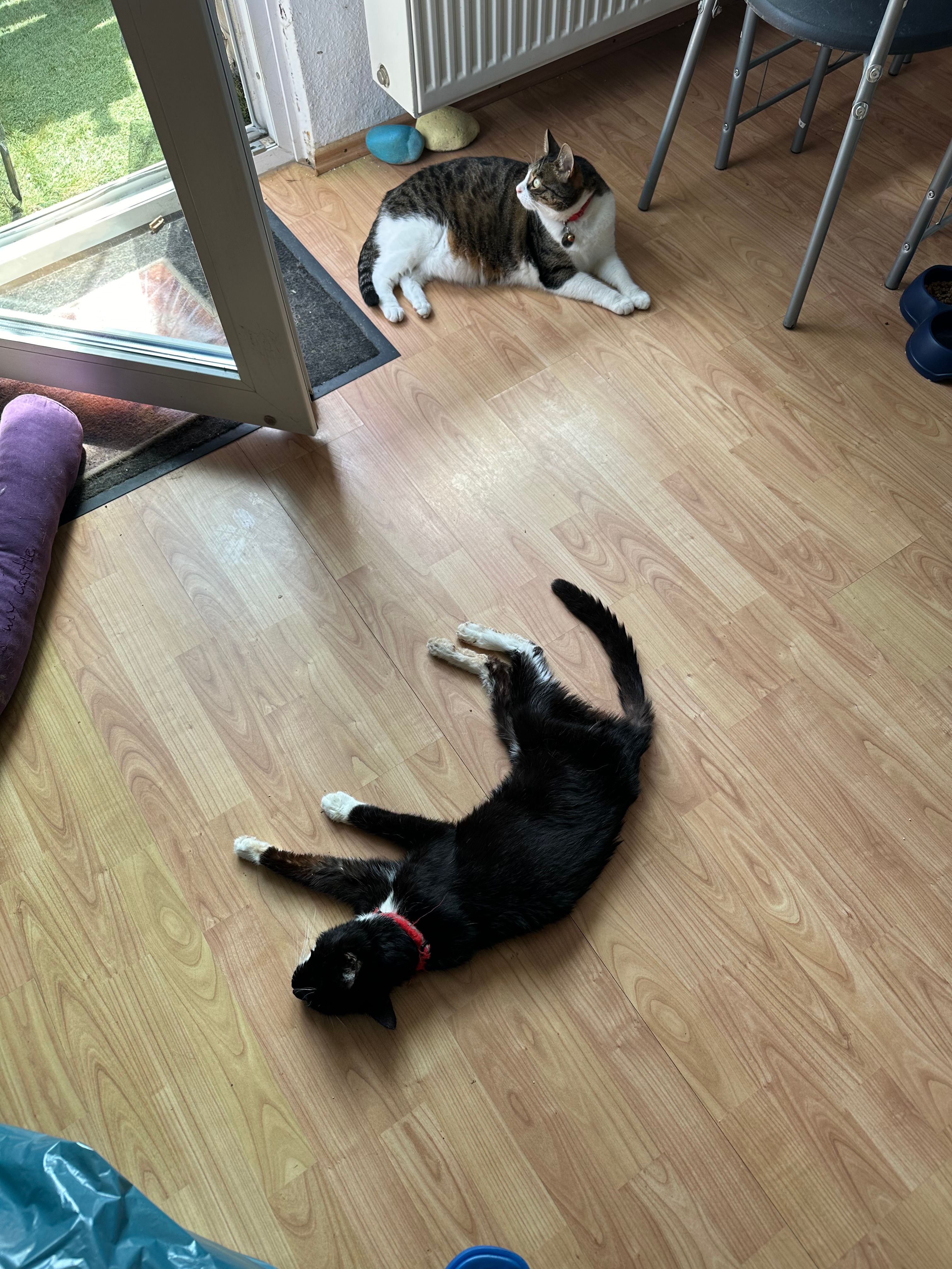 image-12