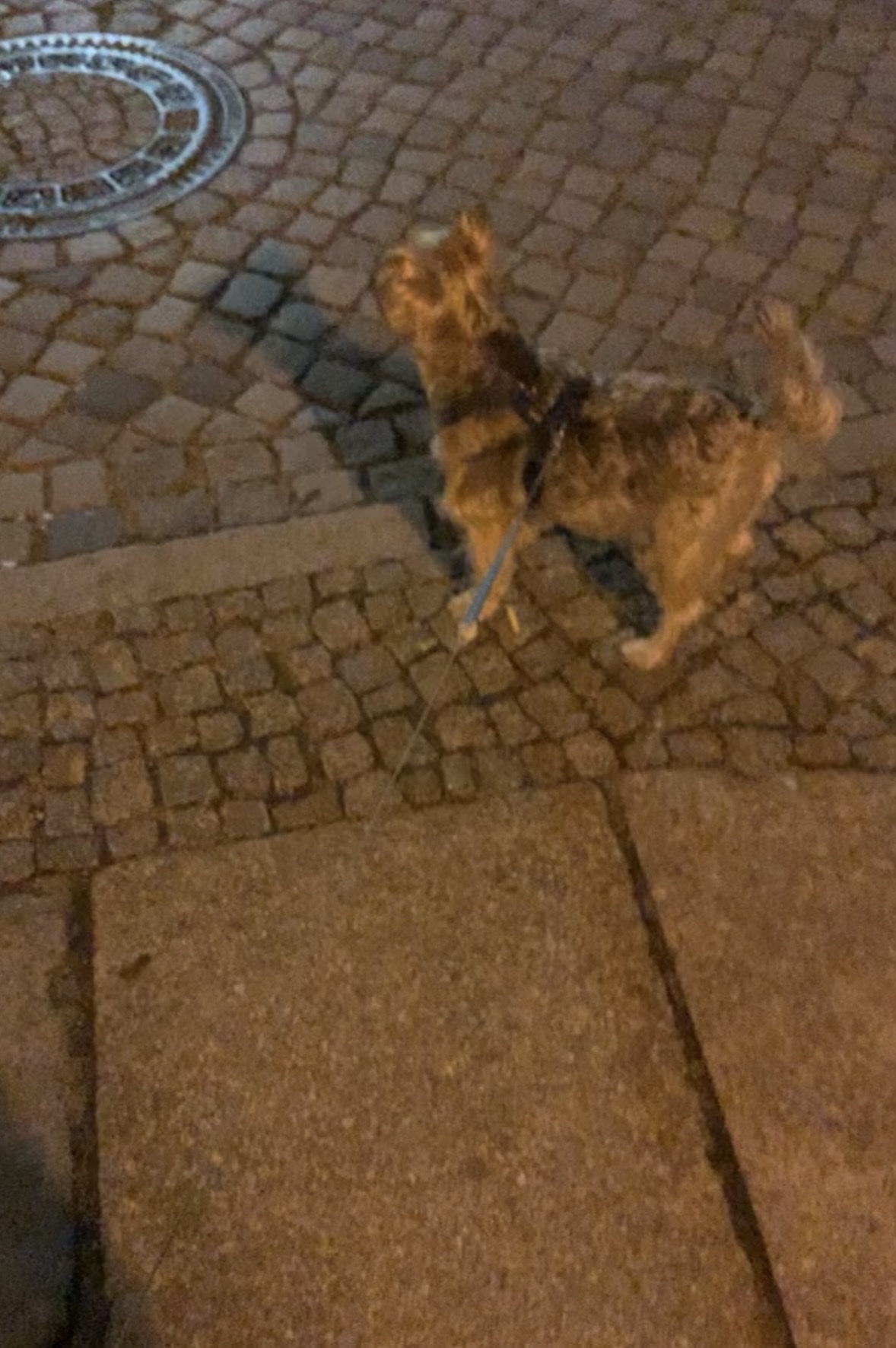 image-7