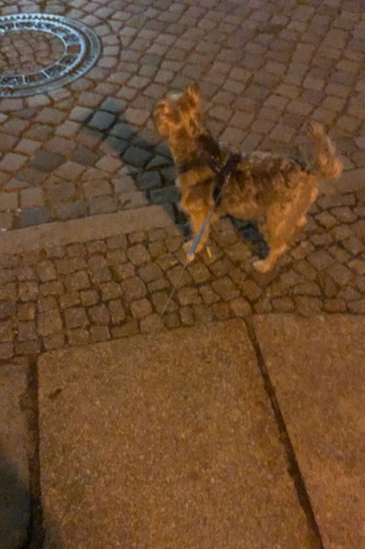 image-7