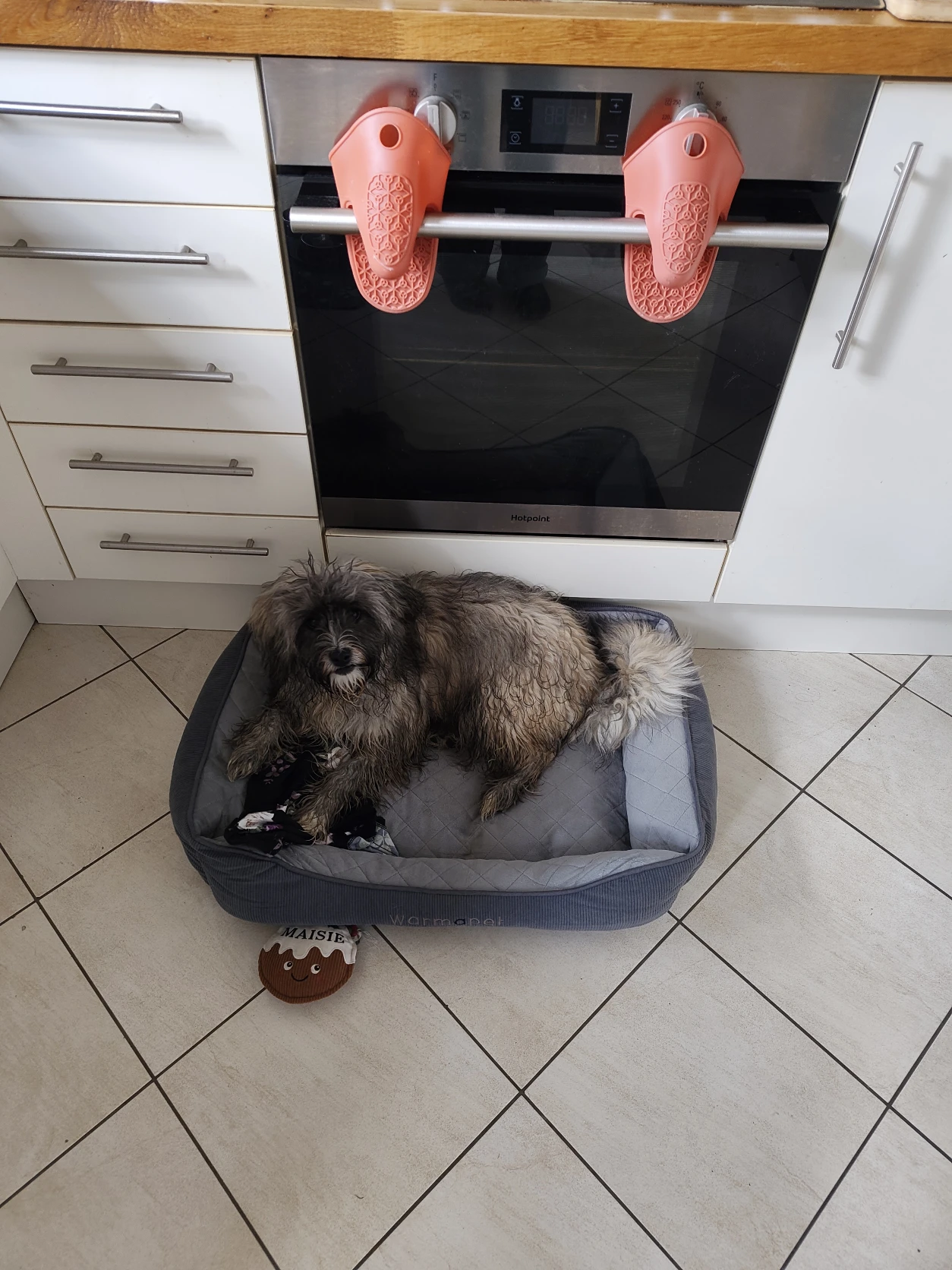 image-16