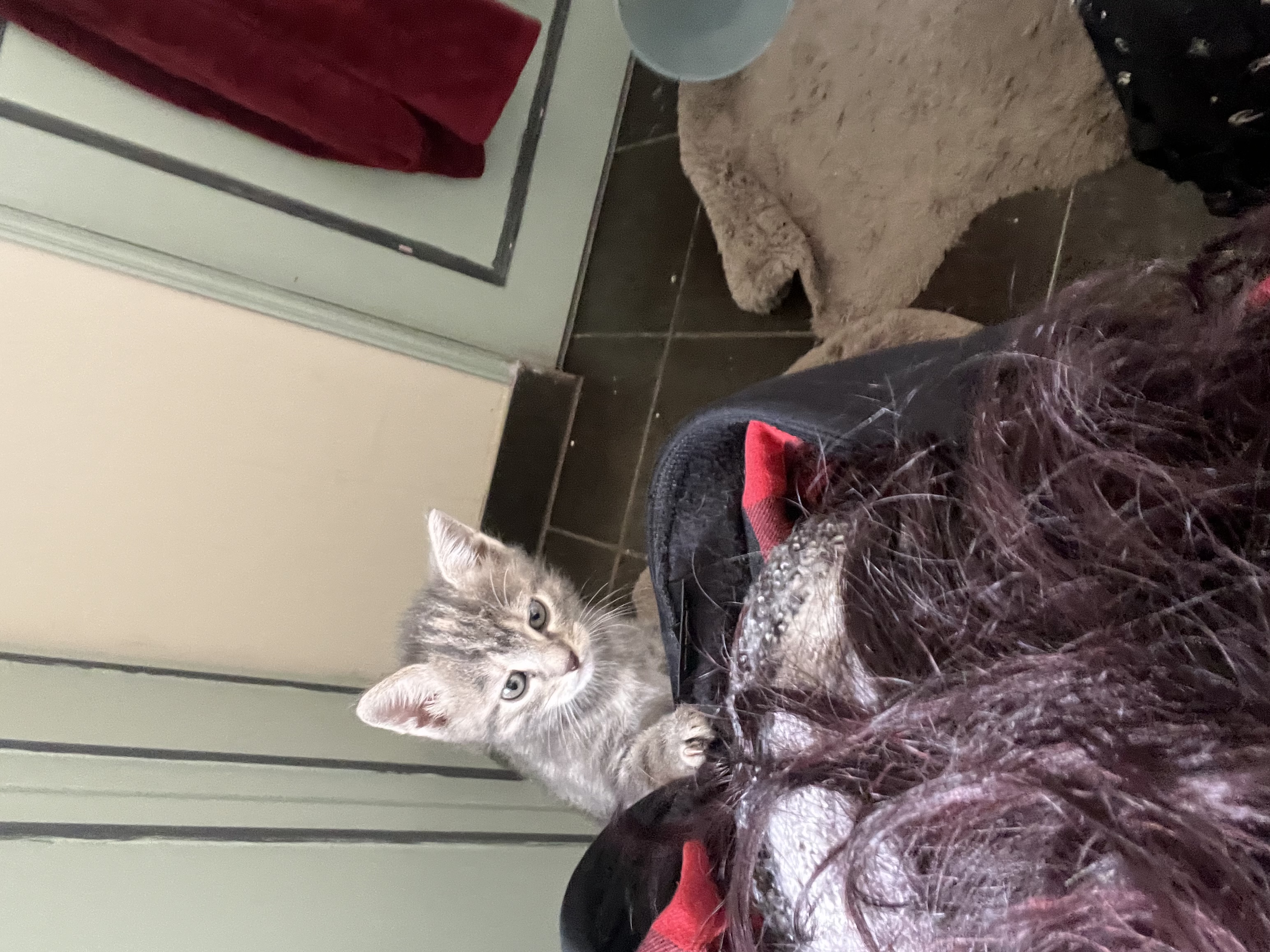 image-12