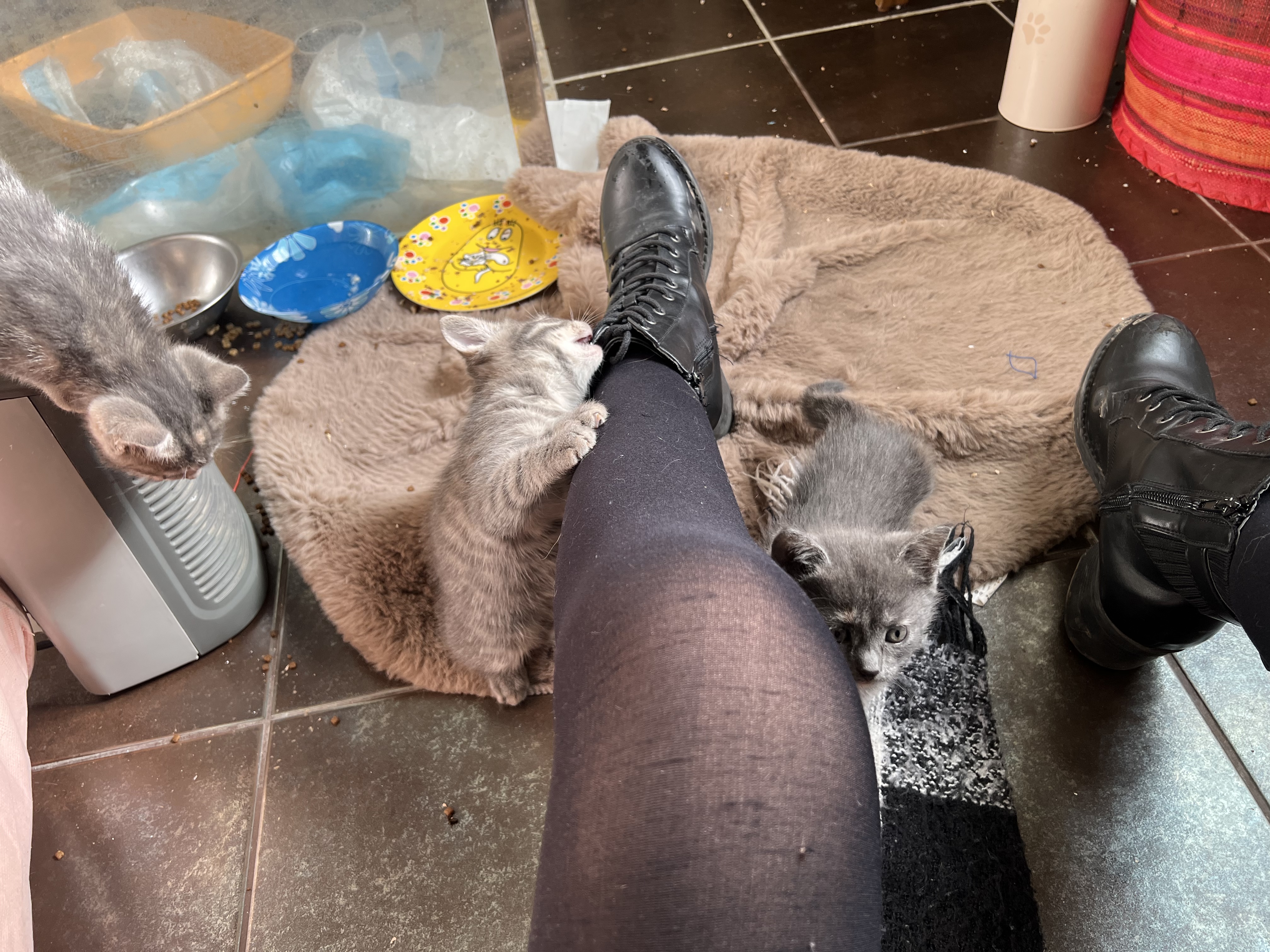 image-8
