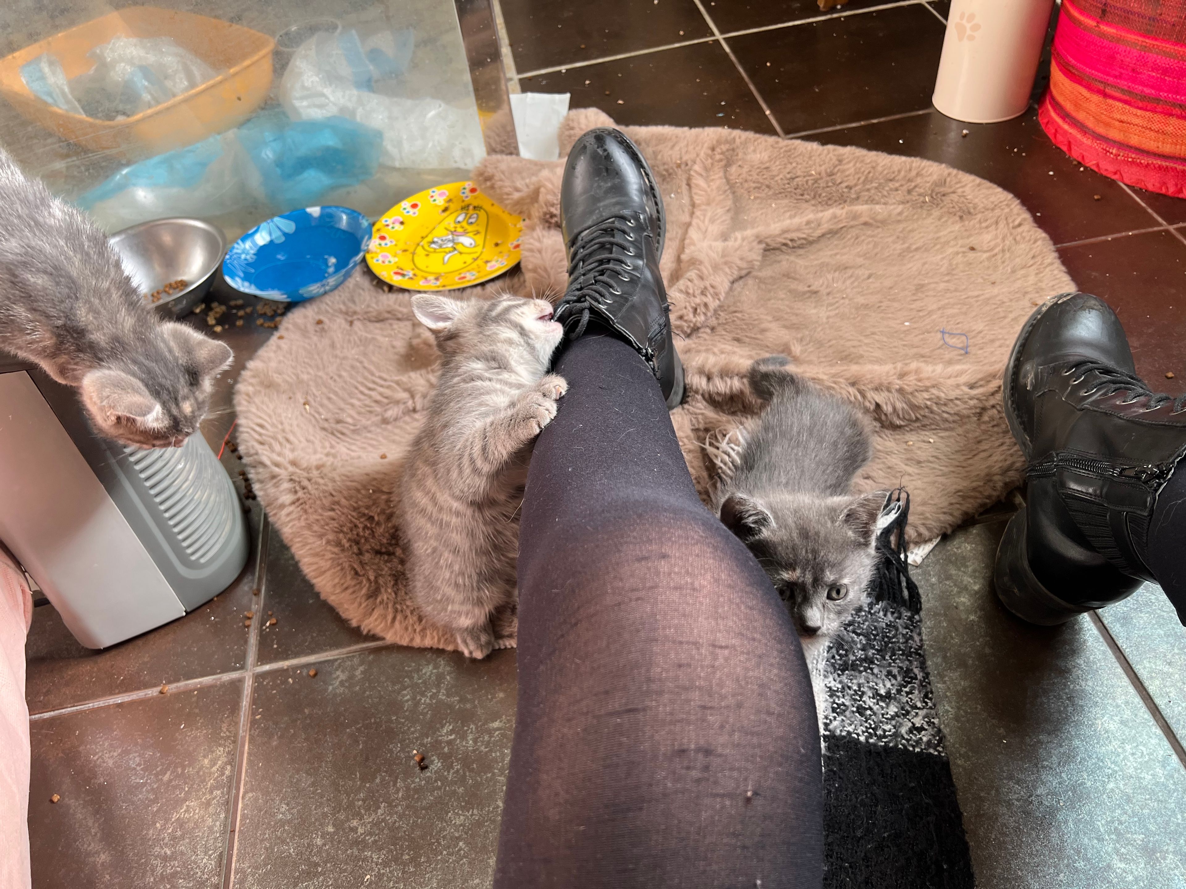 image-8