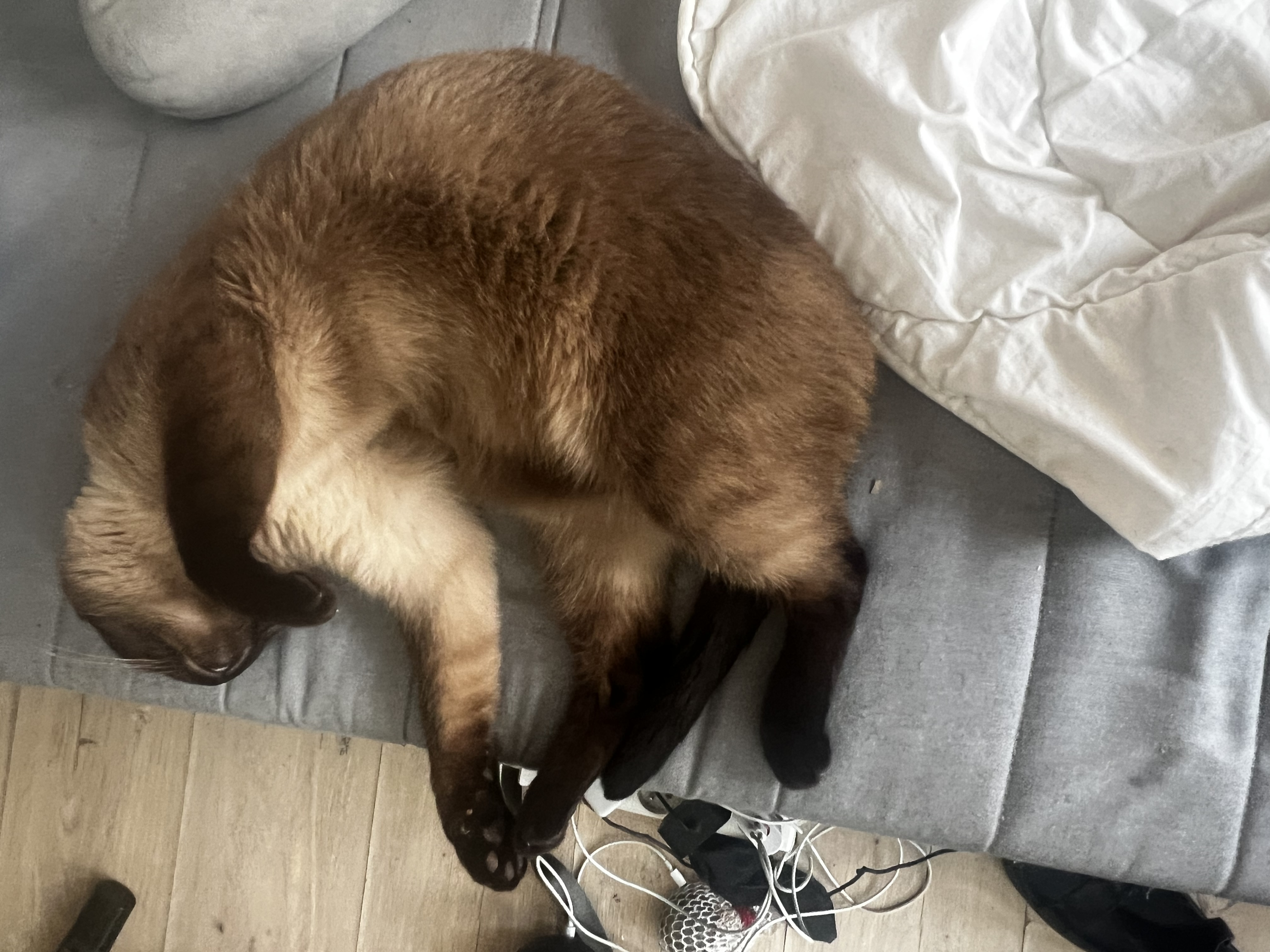 image-7