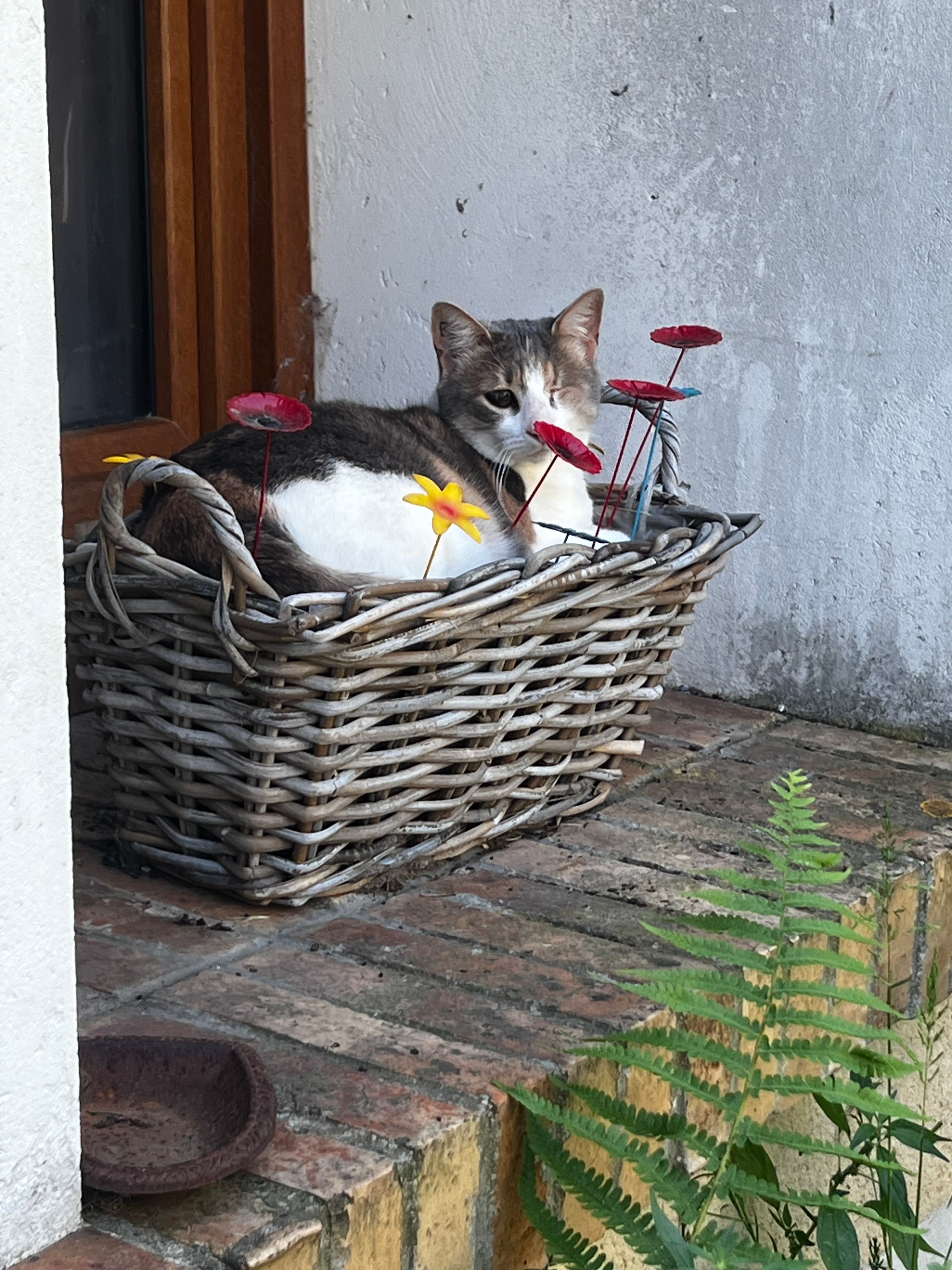 image-10
