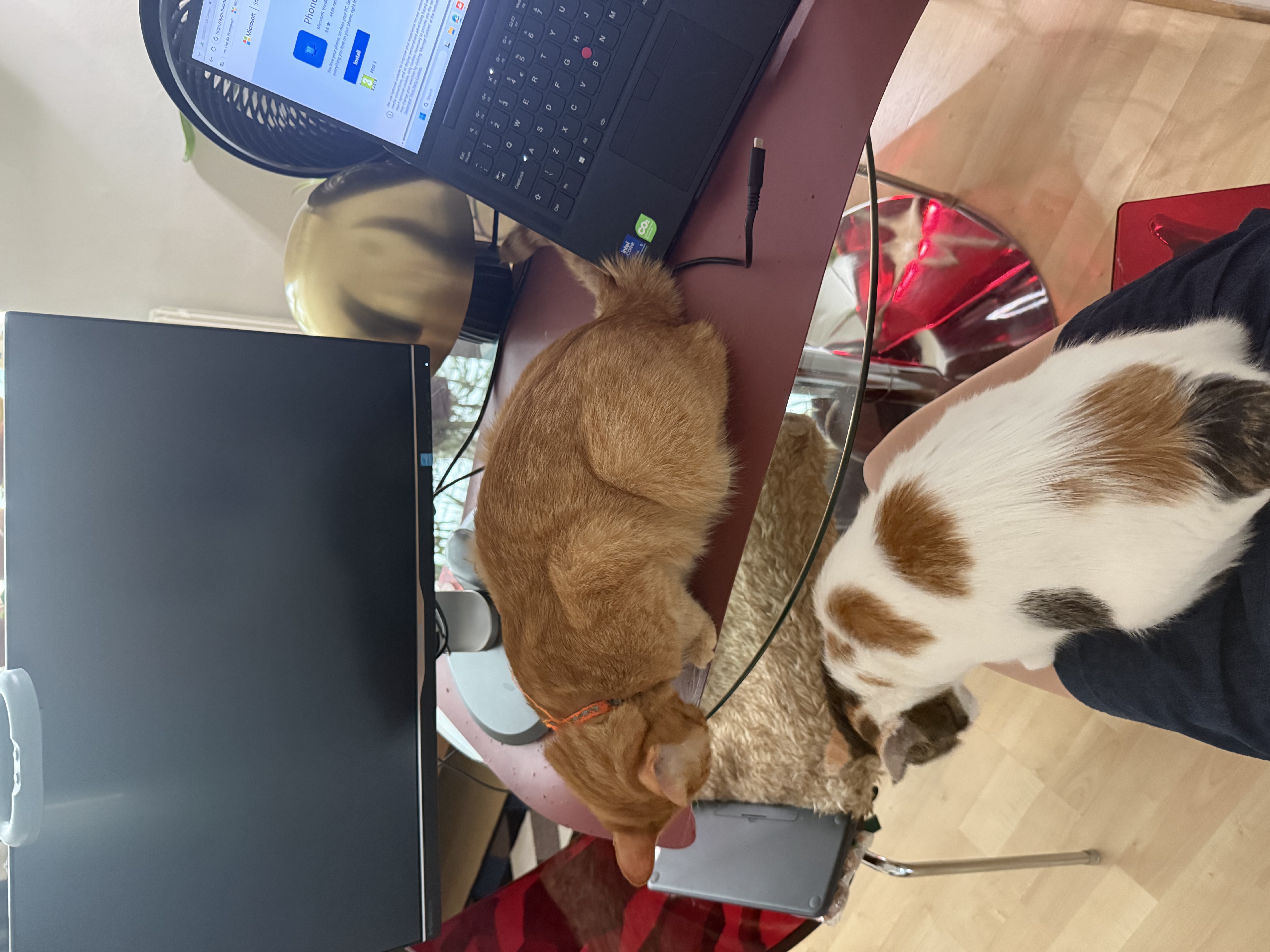image-18