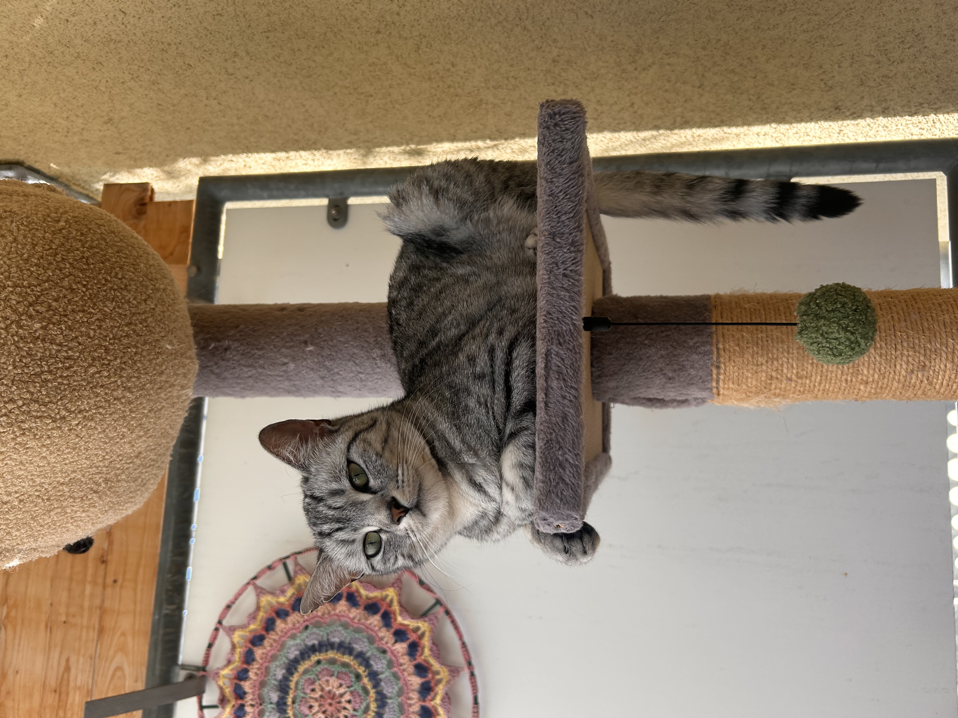 image-8