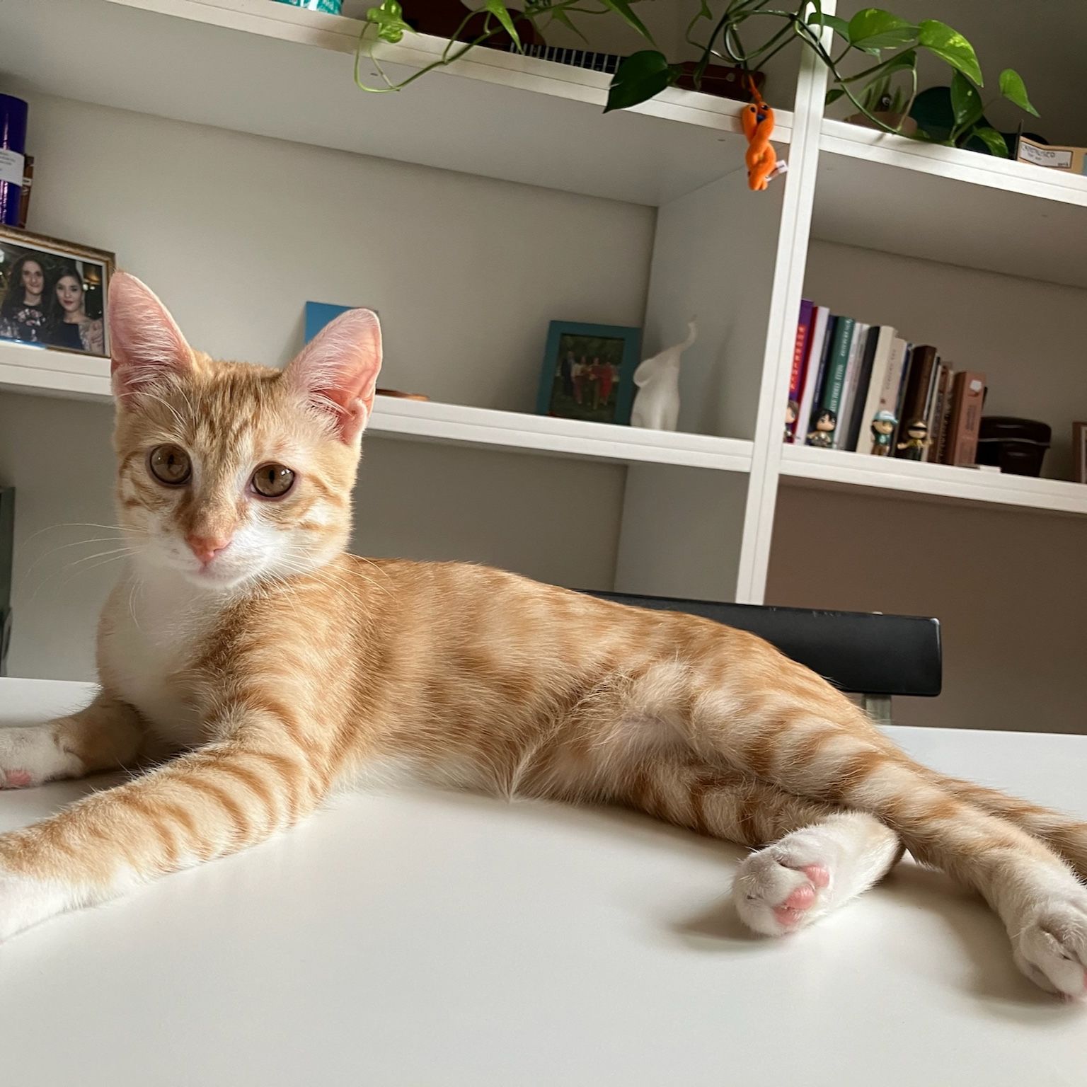 Oliver