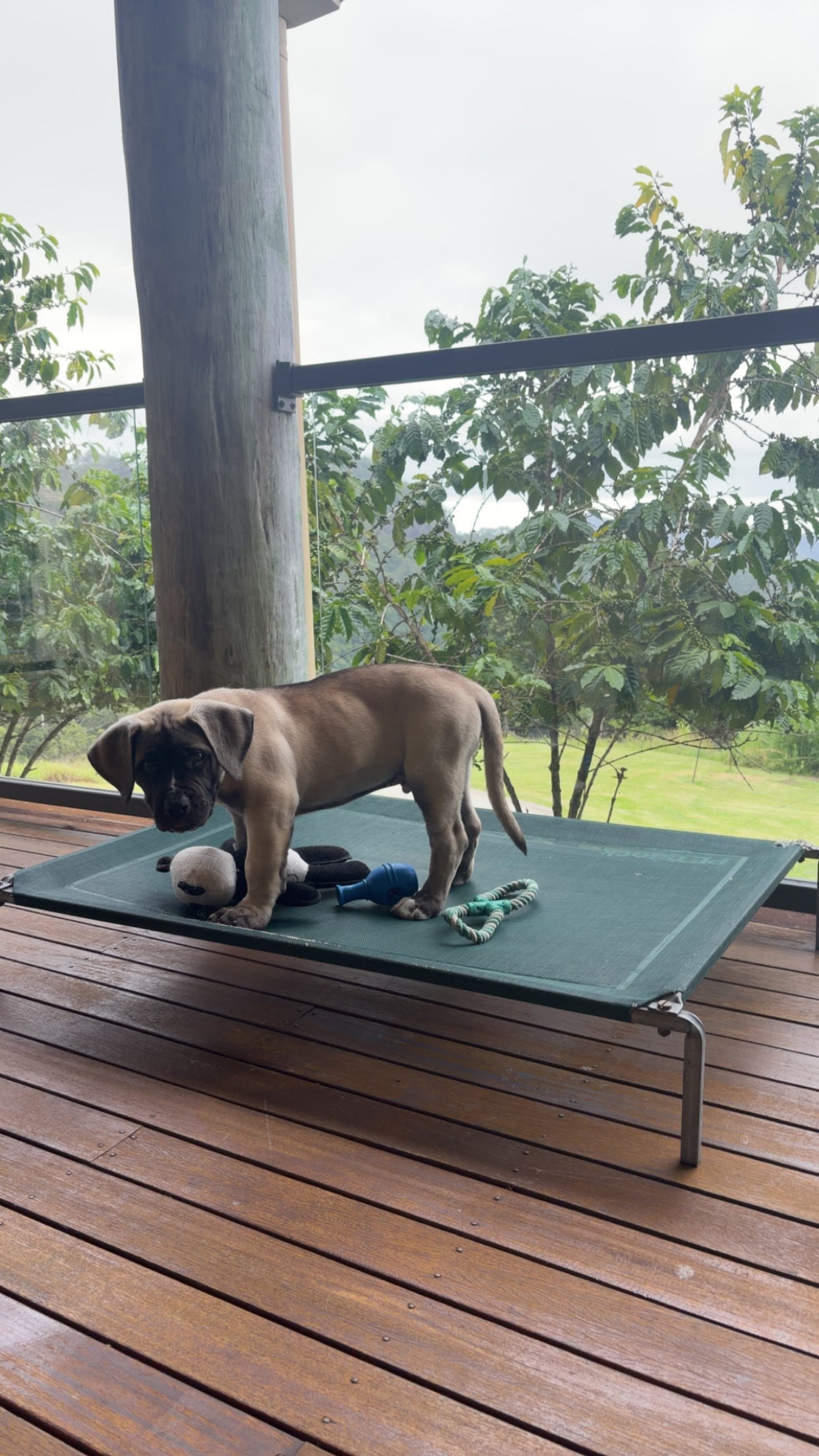 image-14