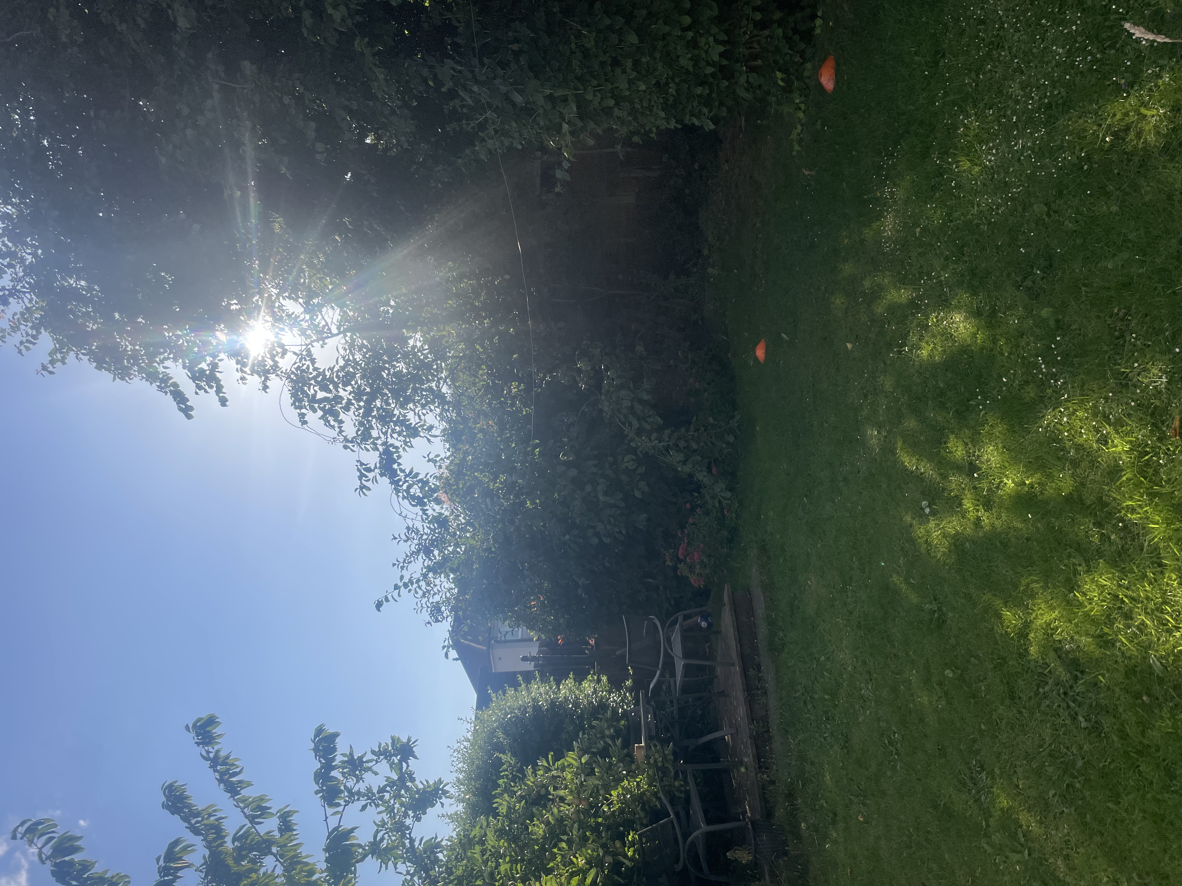 image-16