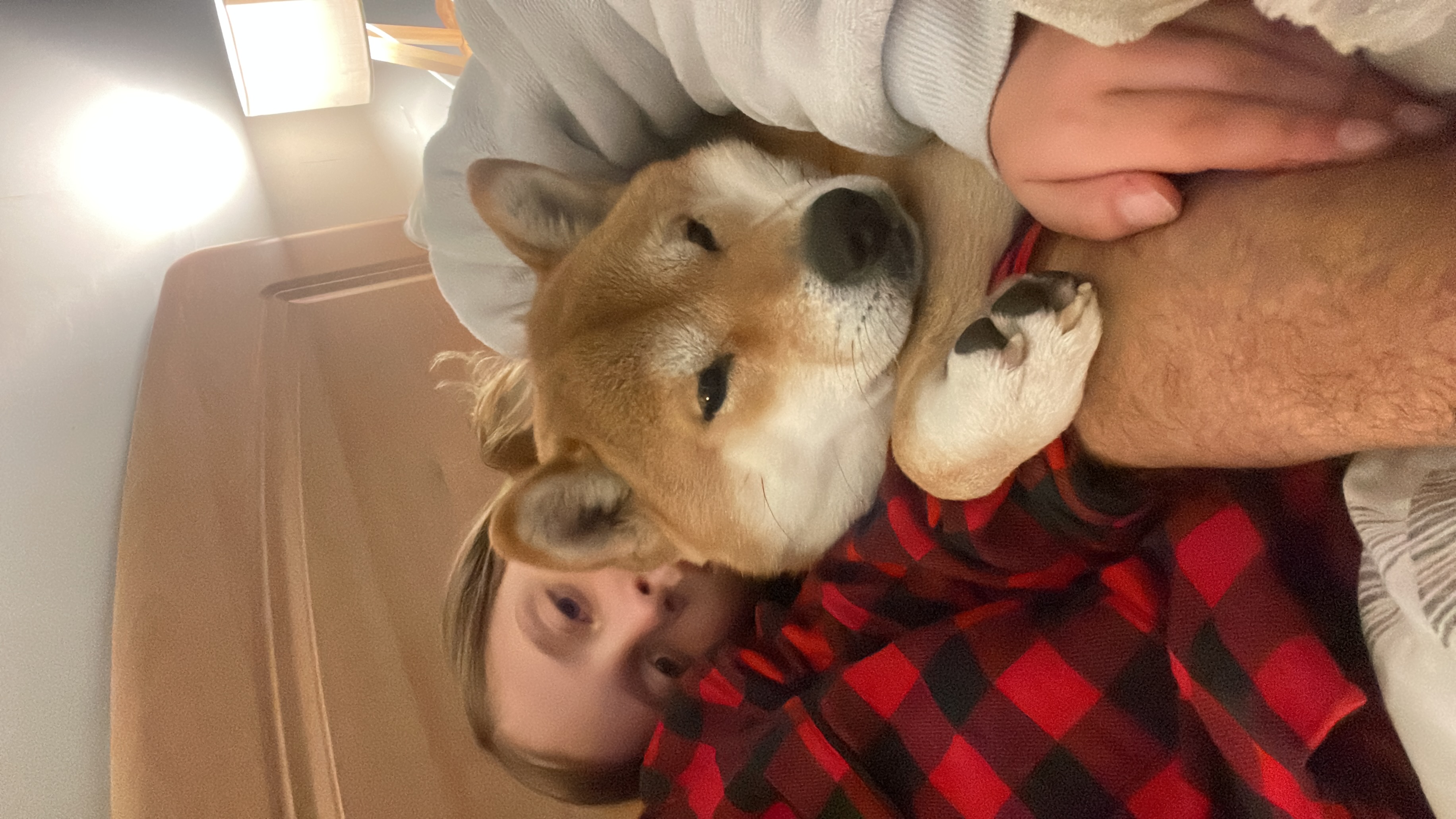 image-8