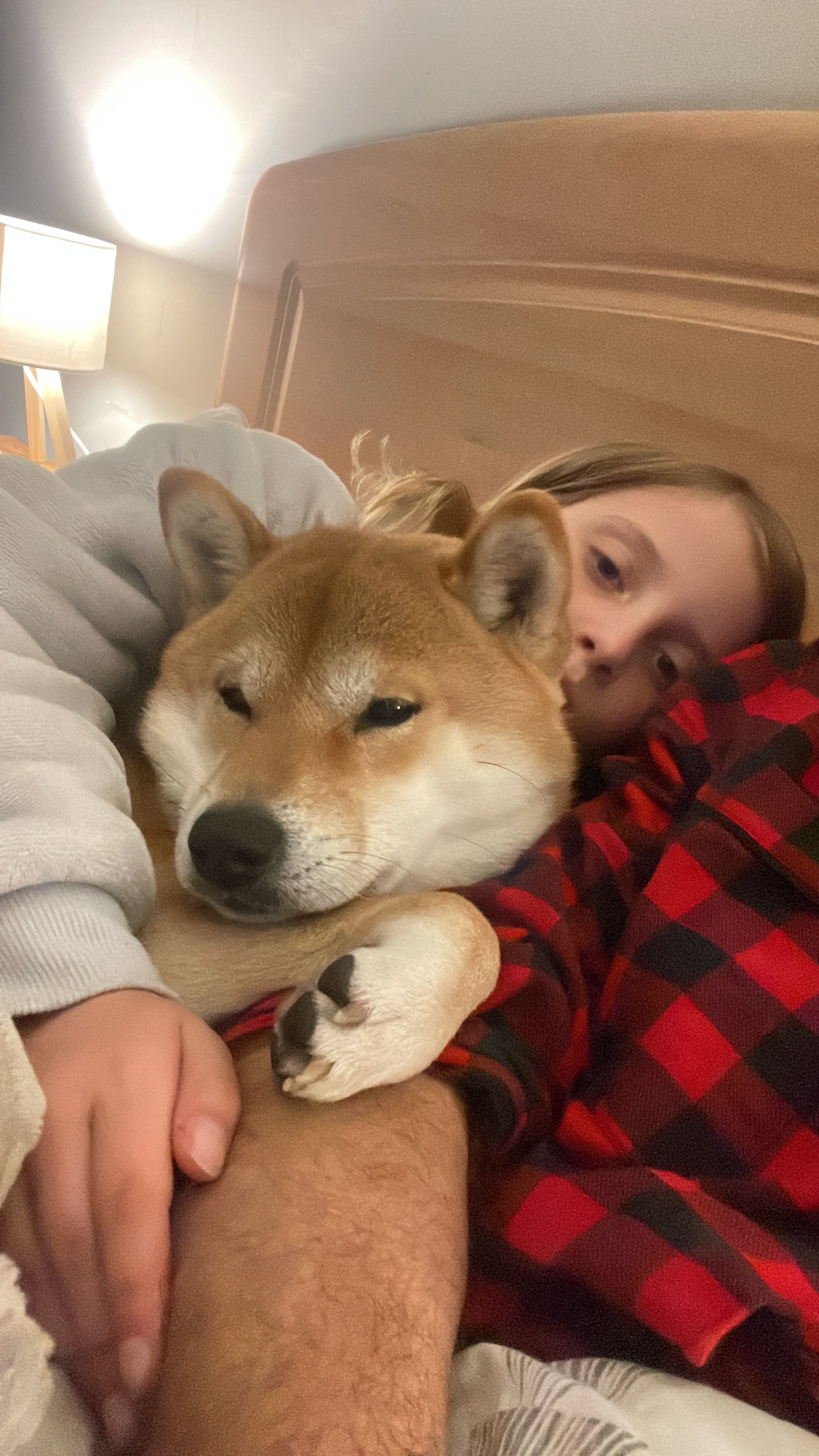 image-8