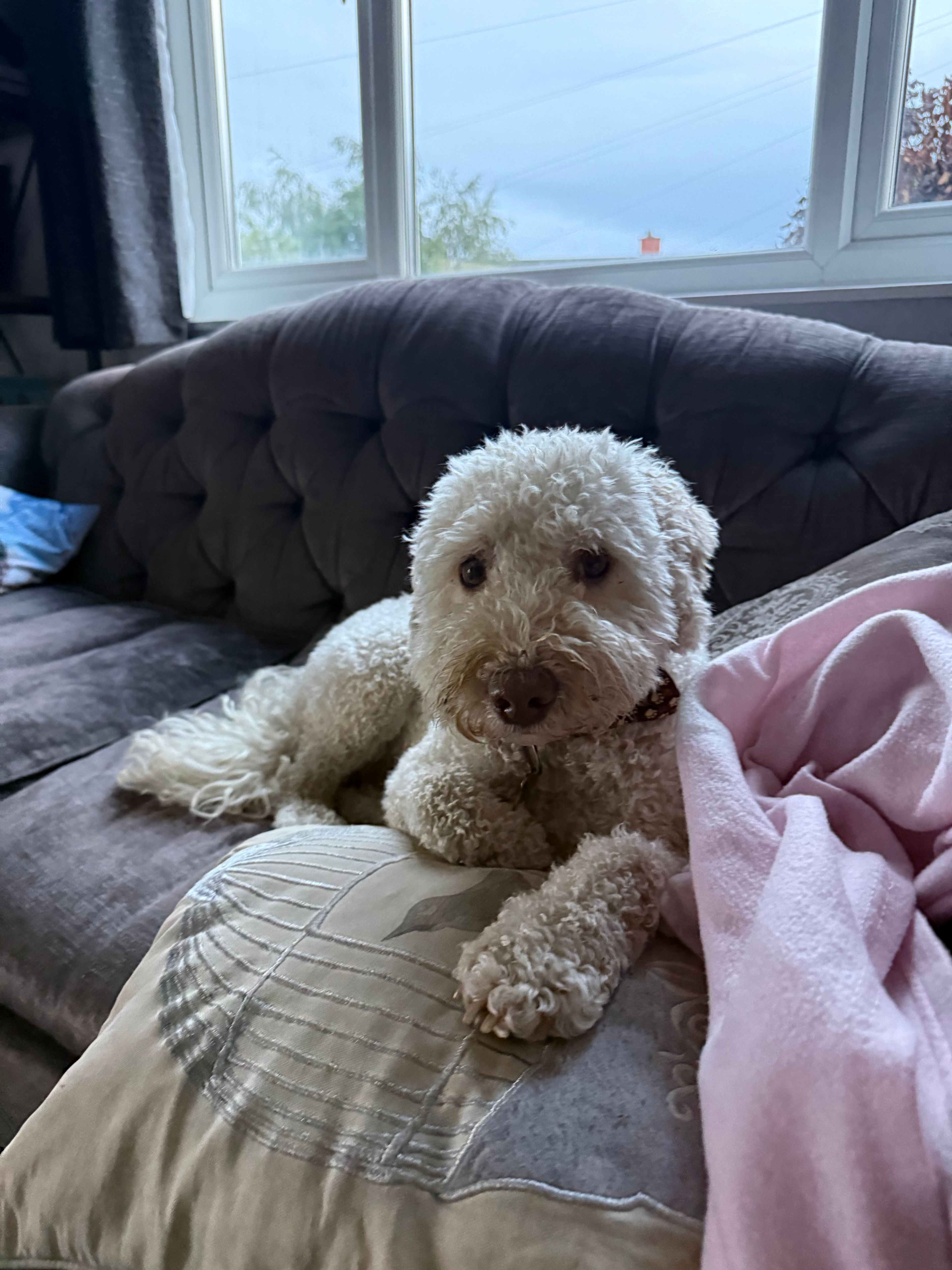 image-16