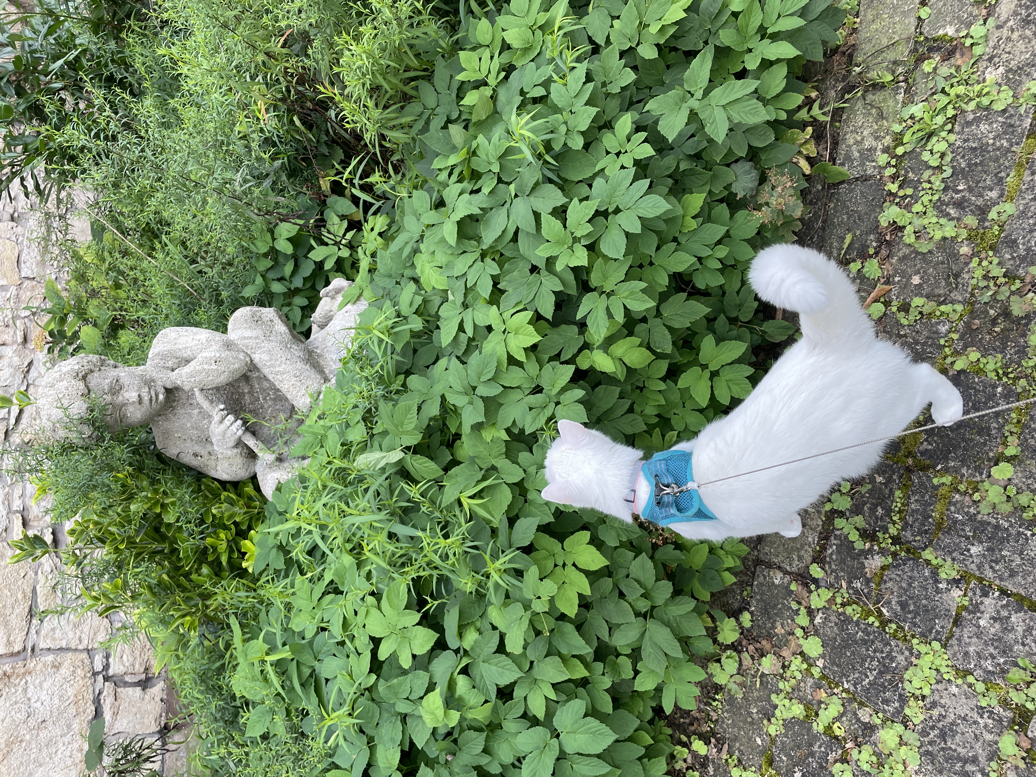 image-8