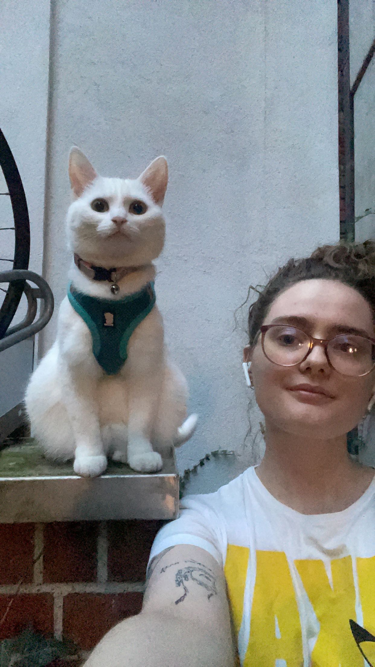 image-7