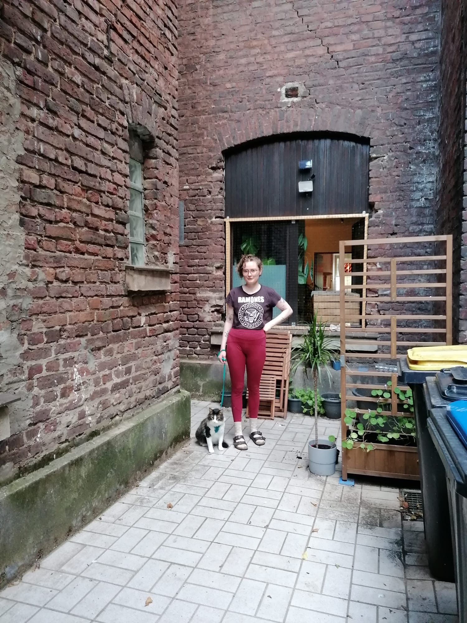 image-13