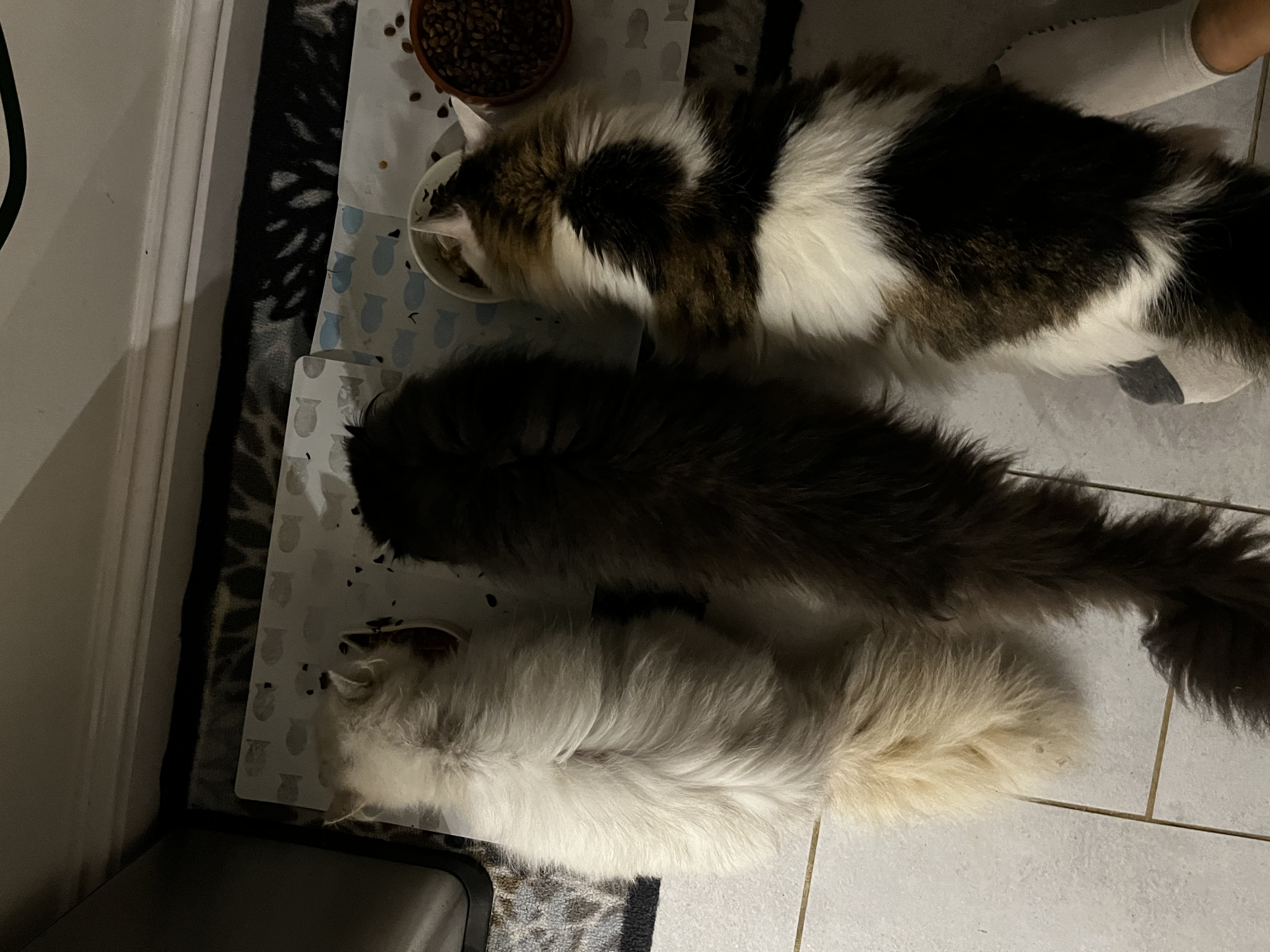 image-3