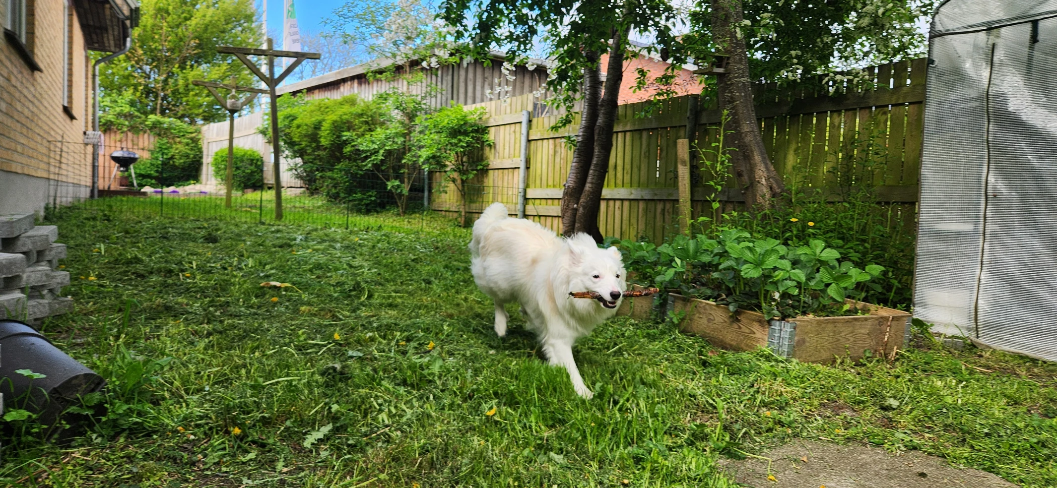 image-10