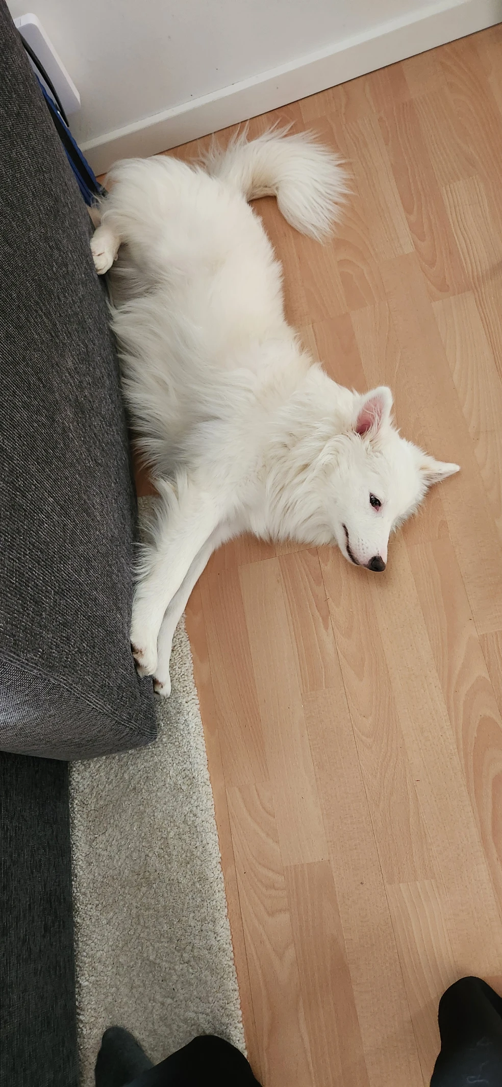image-16
