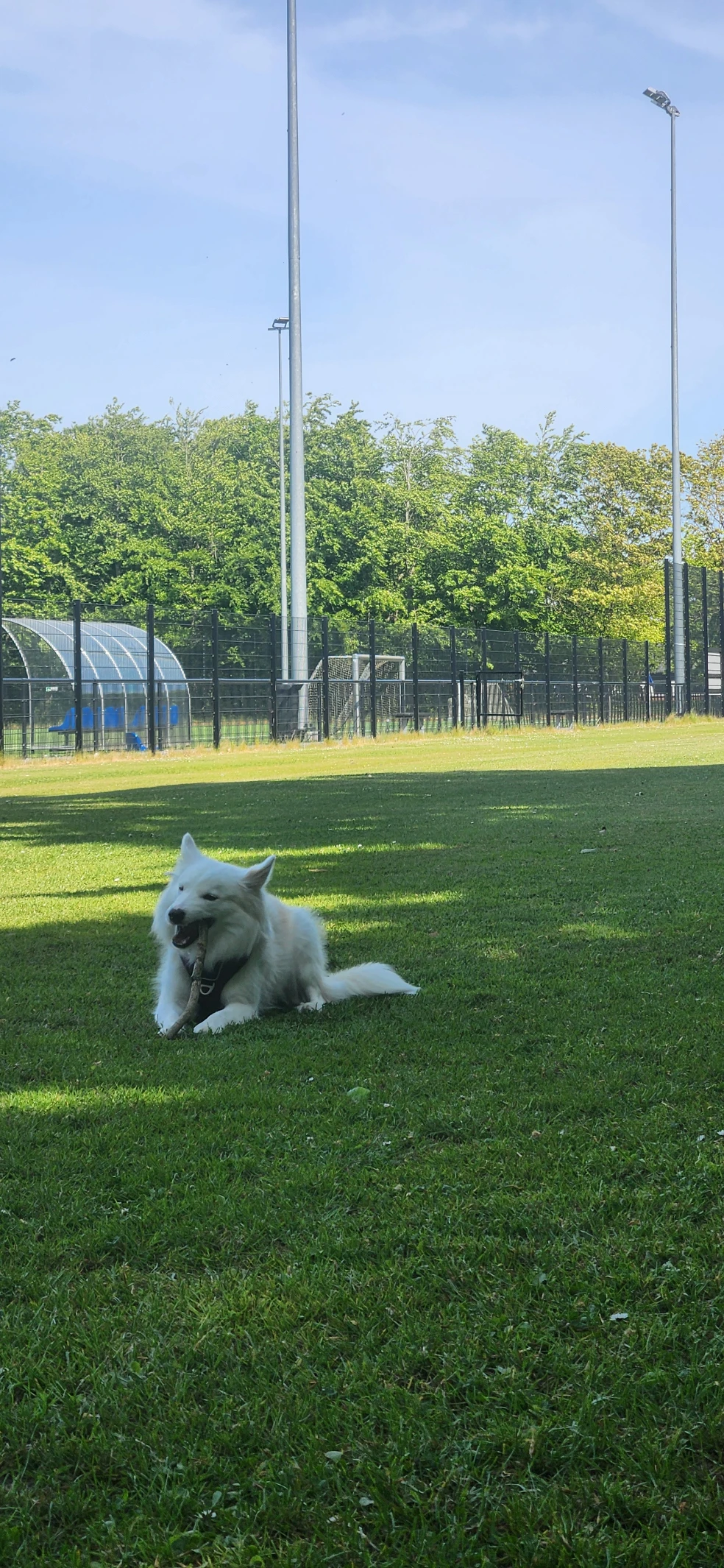 image-7