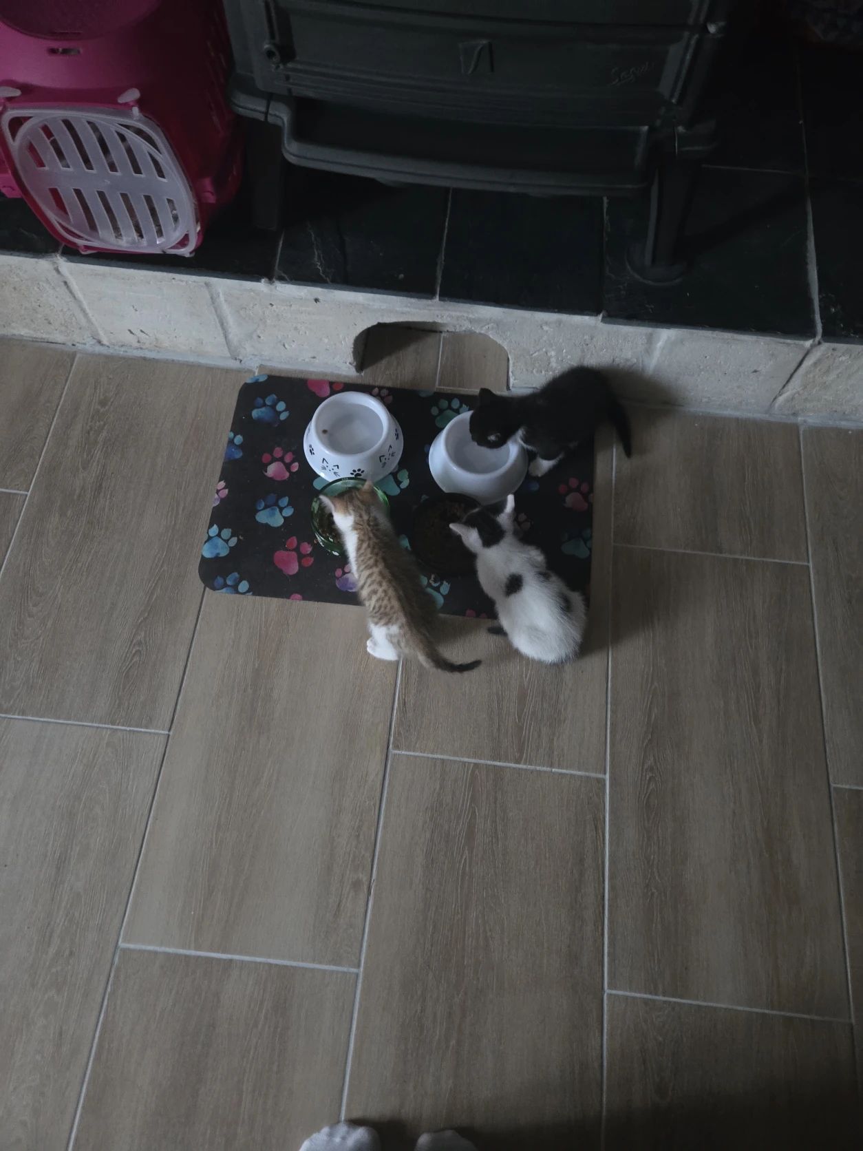 image-8
