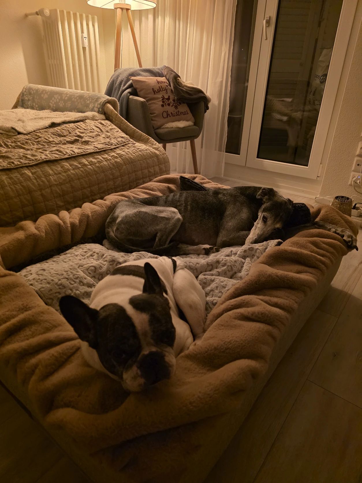 image-46