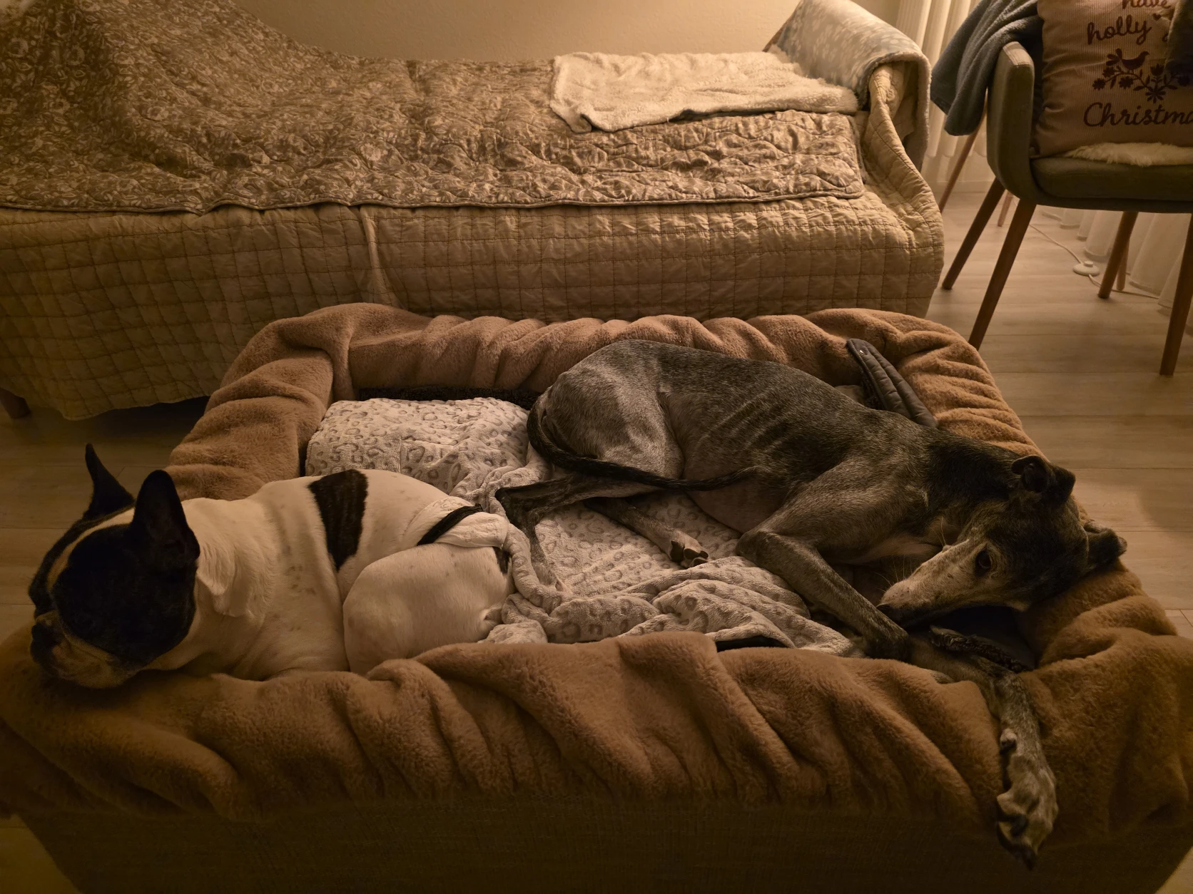 image-45