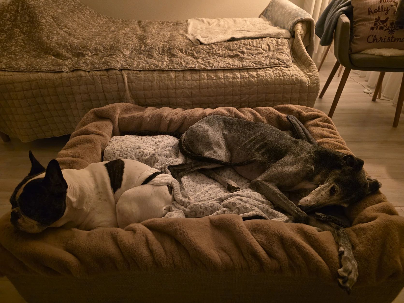 image-45