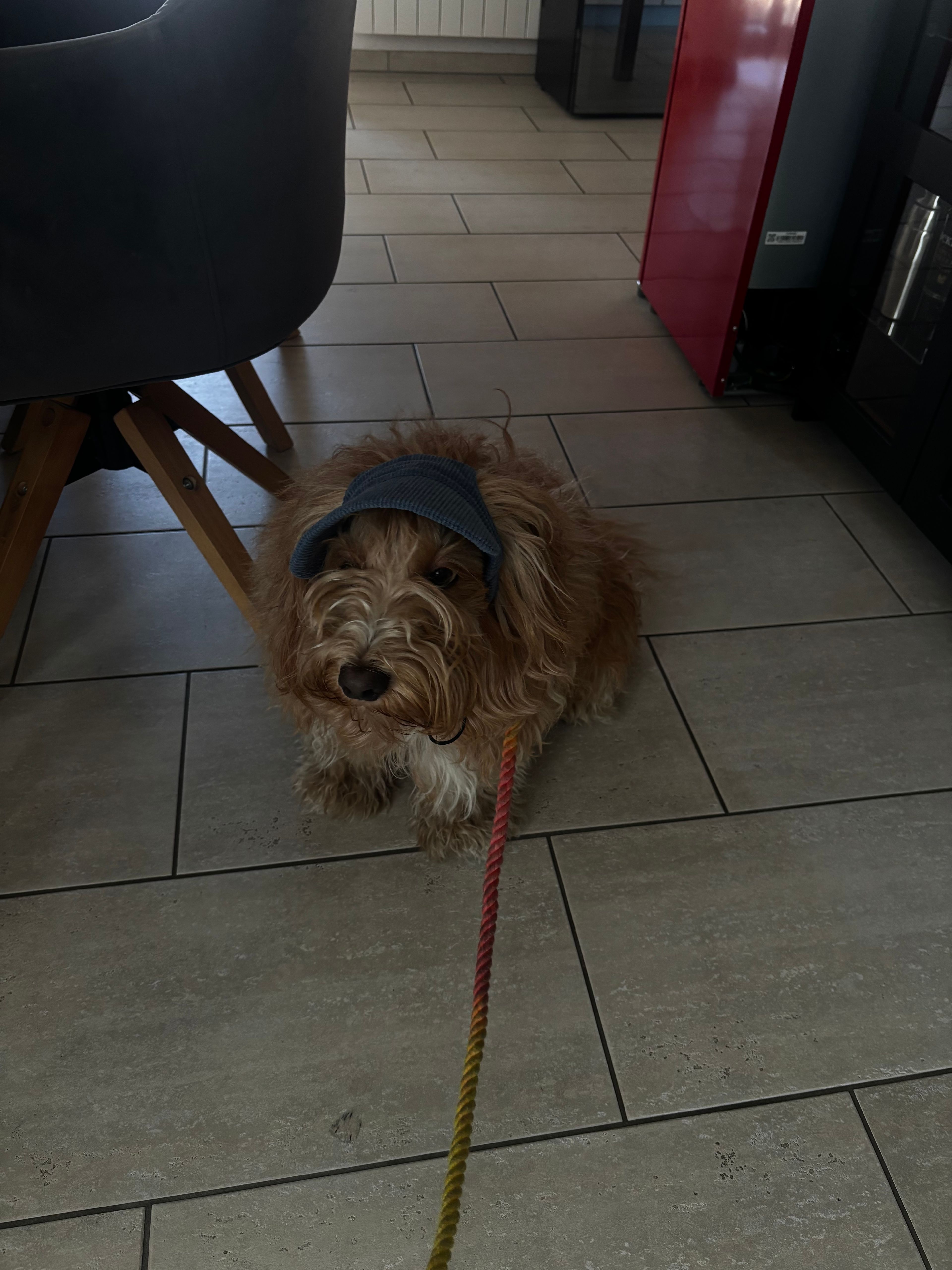 image-27