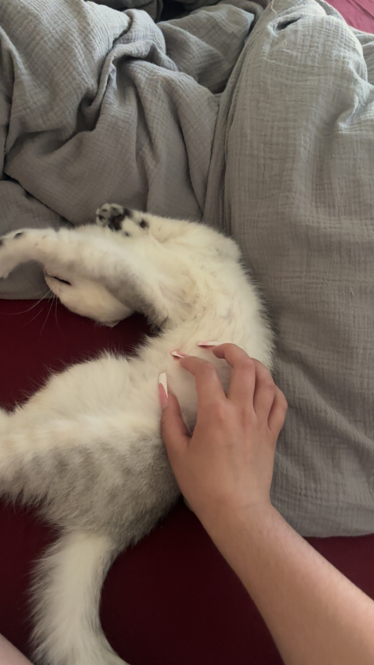 image-8