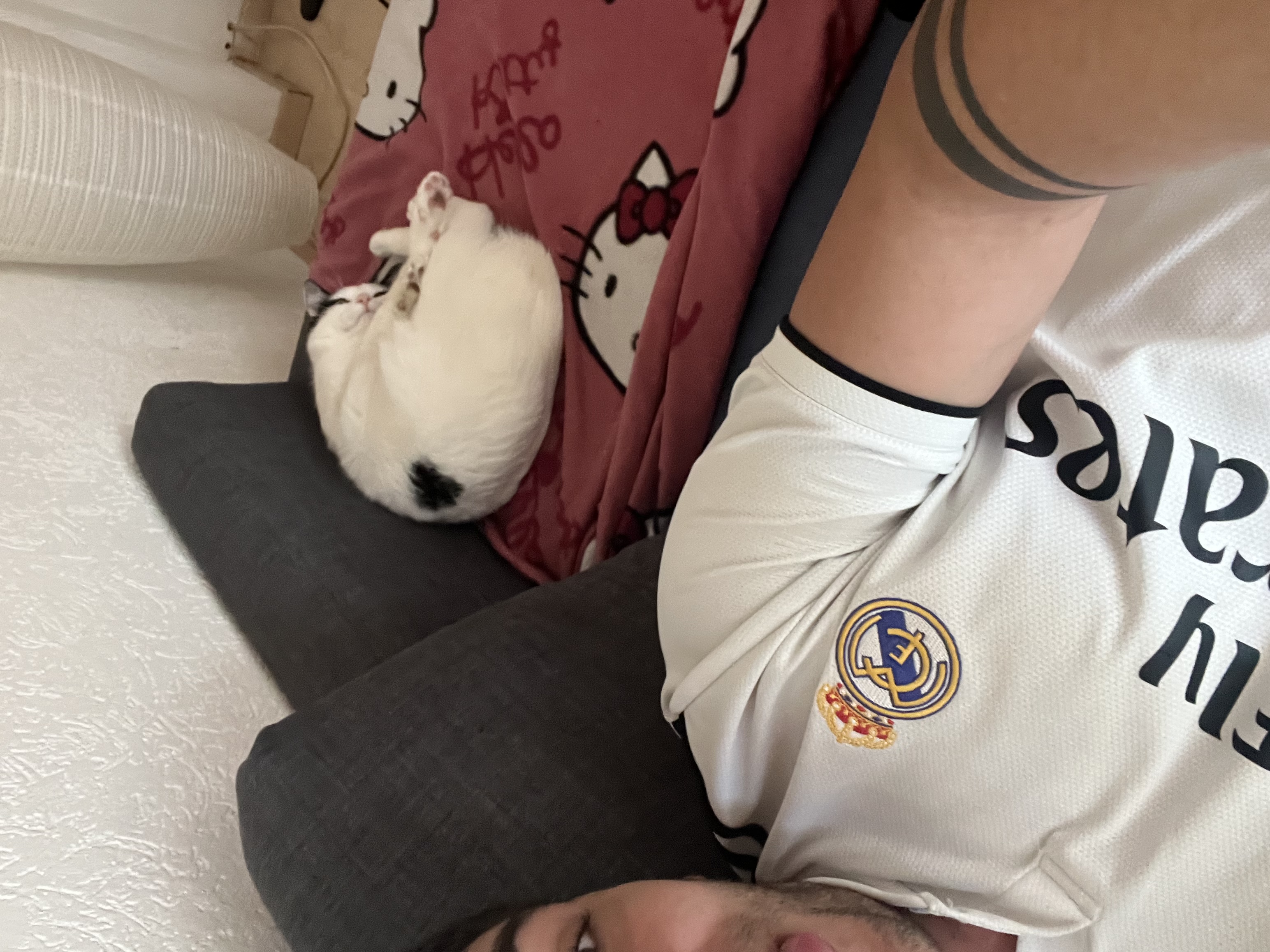 image-7