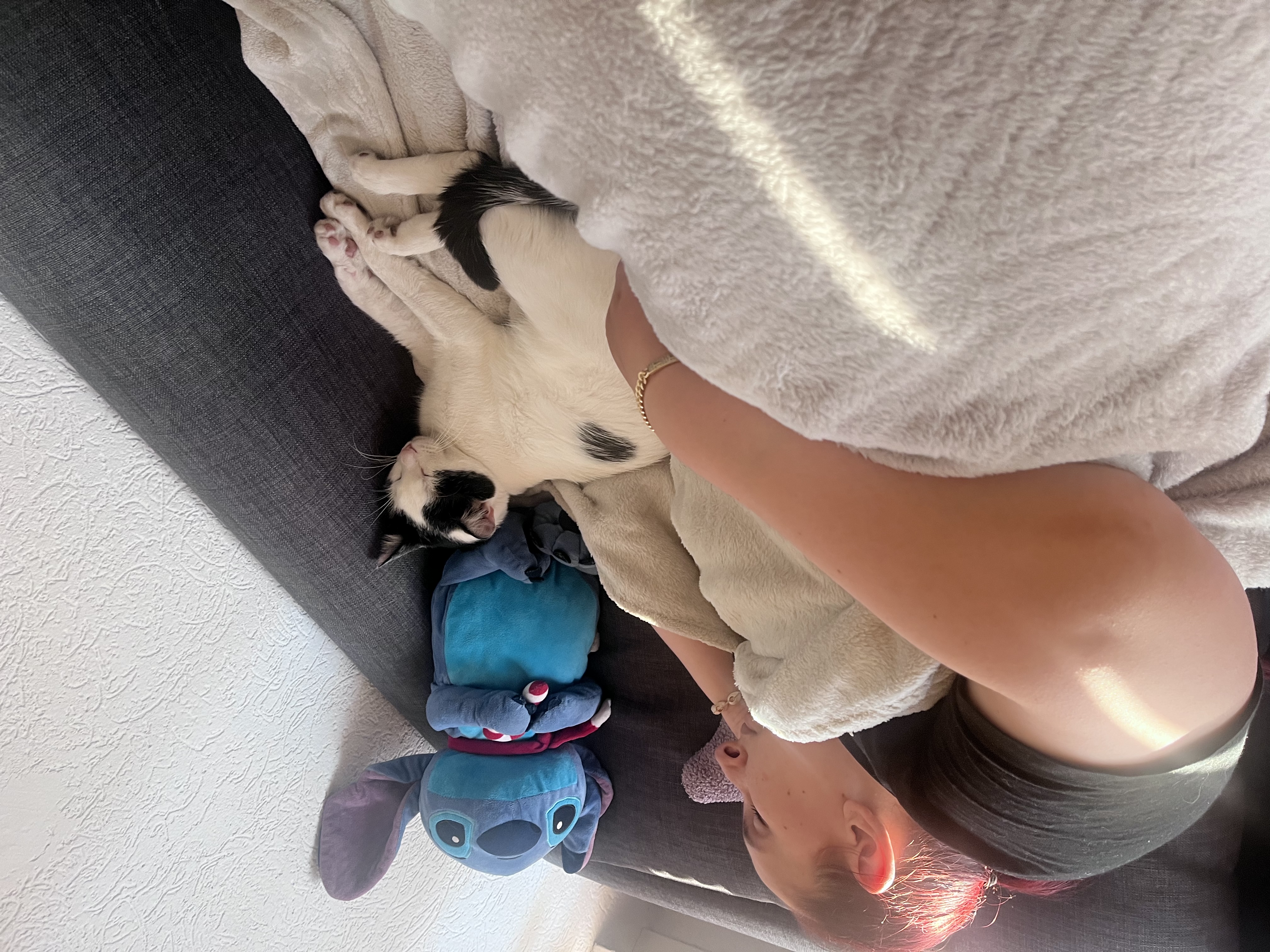 image-6