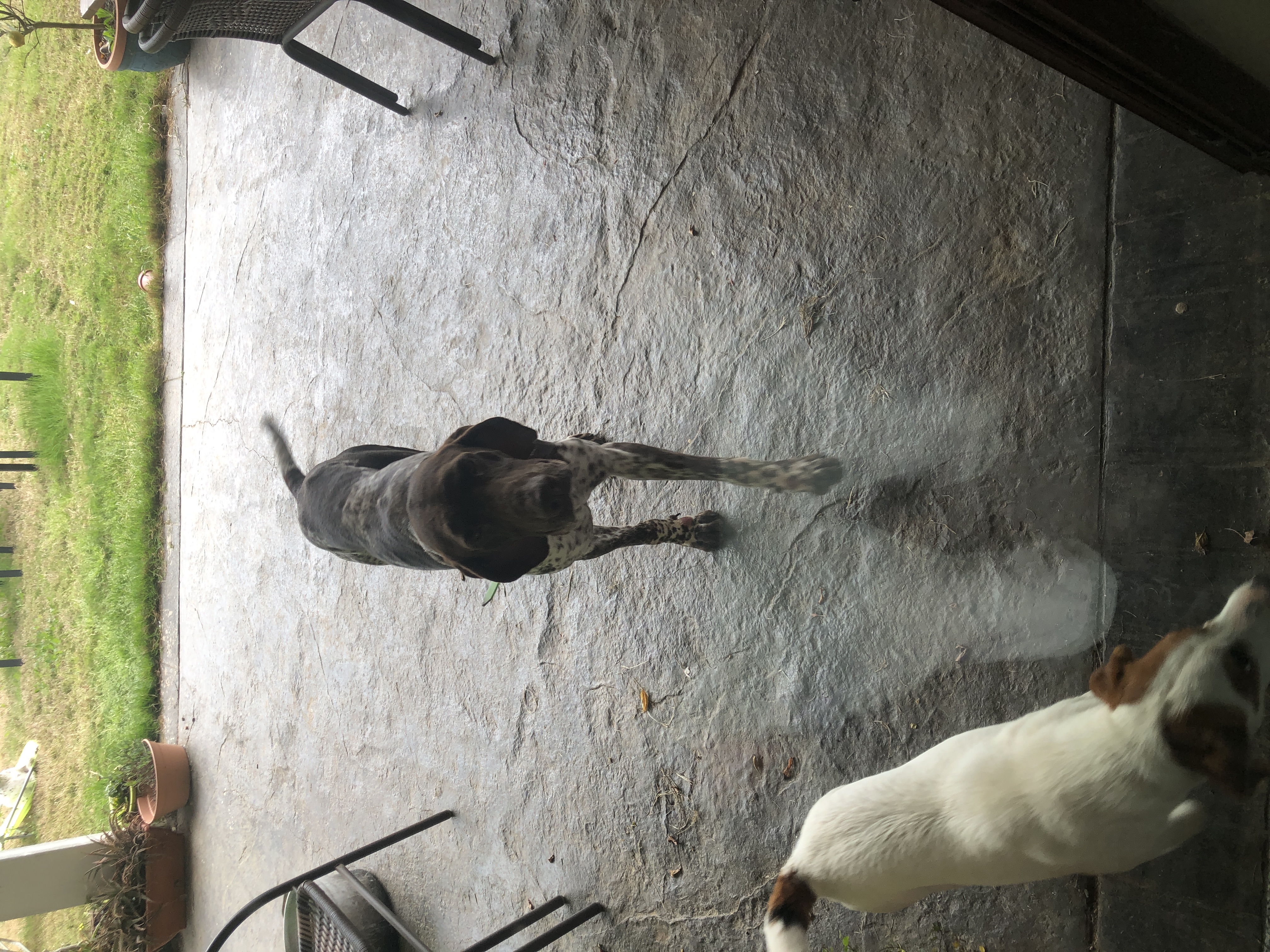 image-5