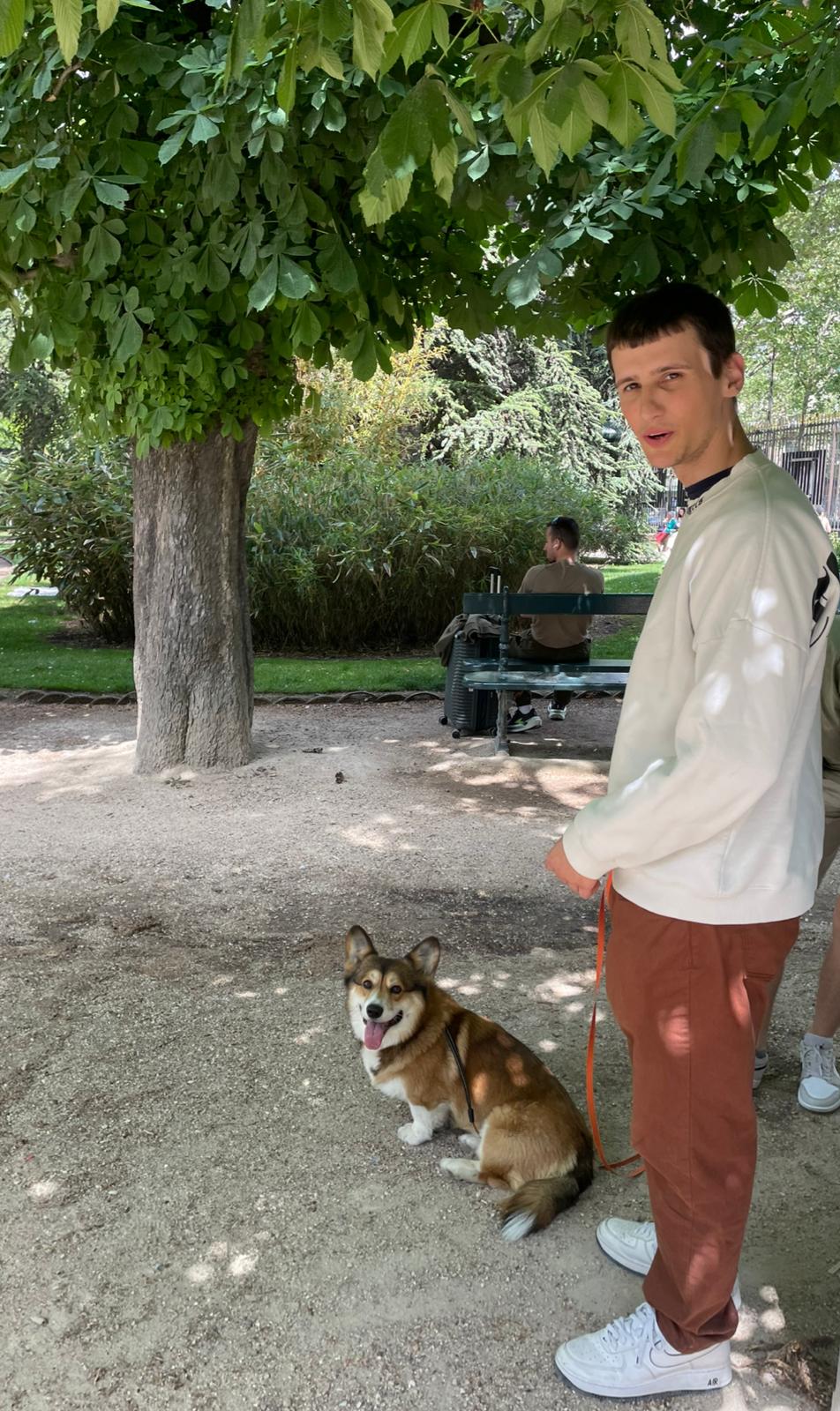 image-6