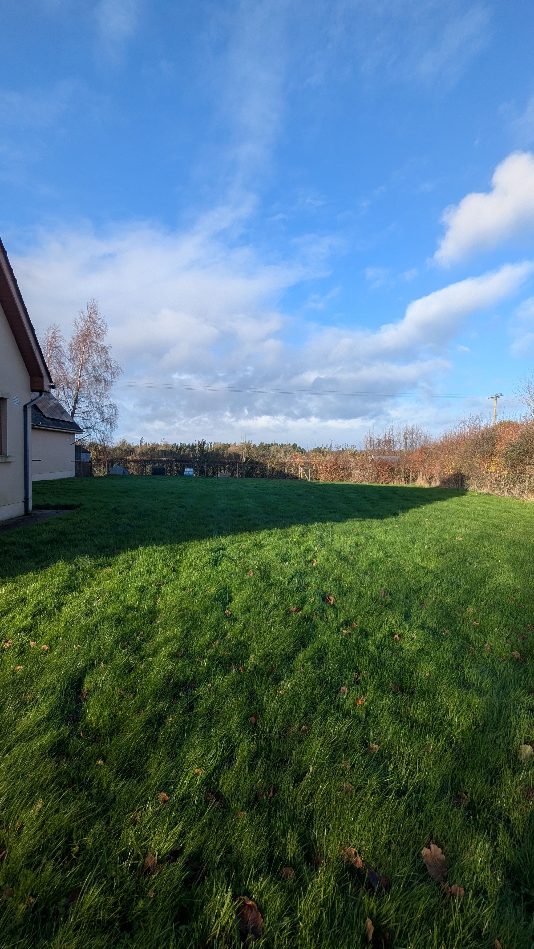 image-20