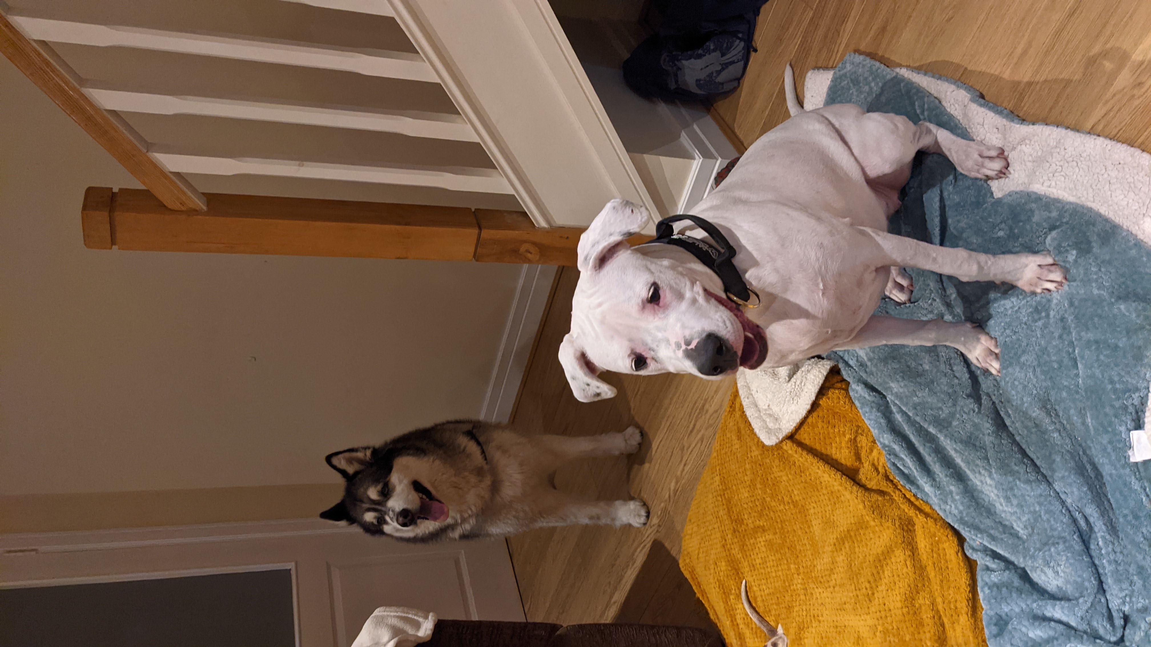 image-7