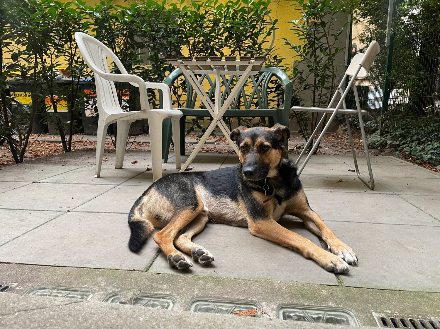 image-11