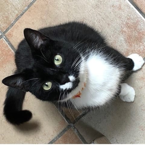 Sophie