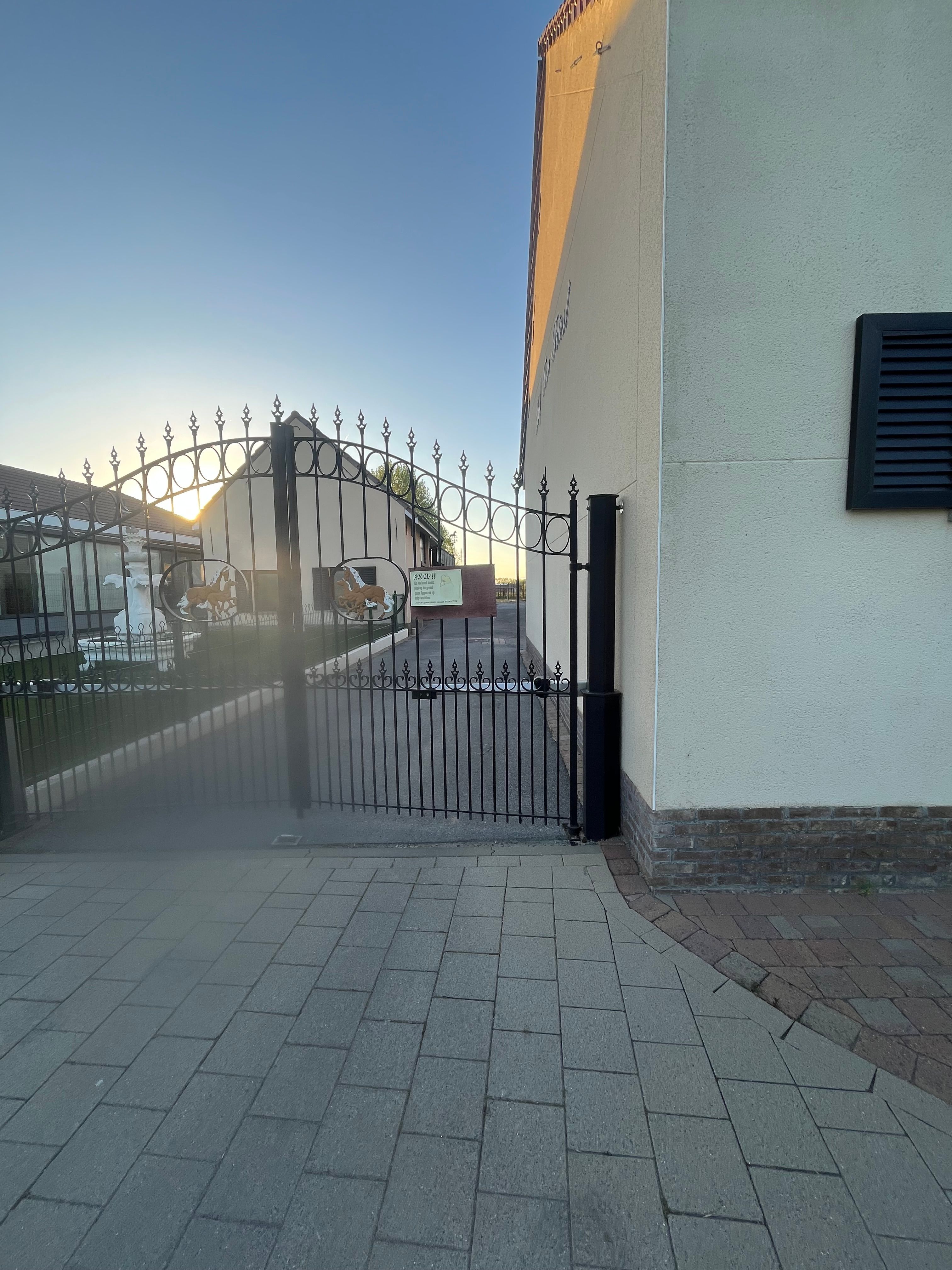 image-15