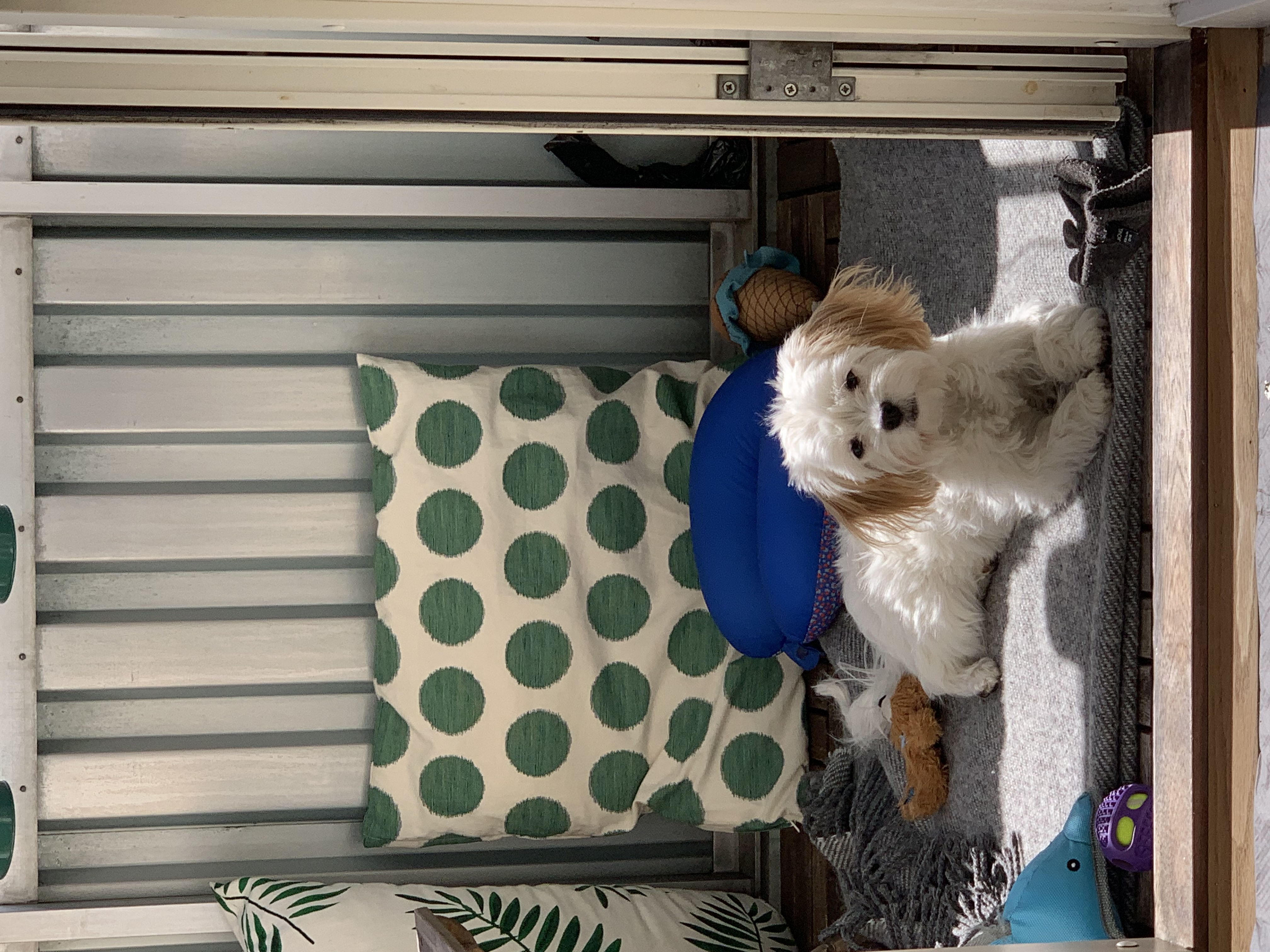 image-12