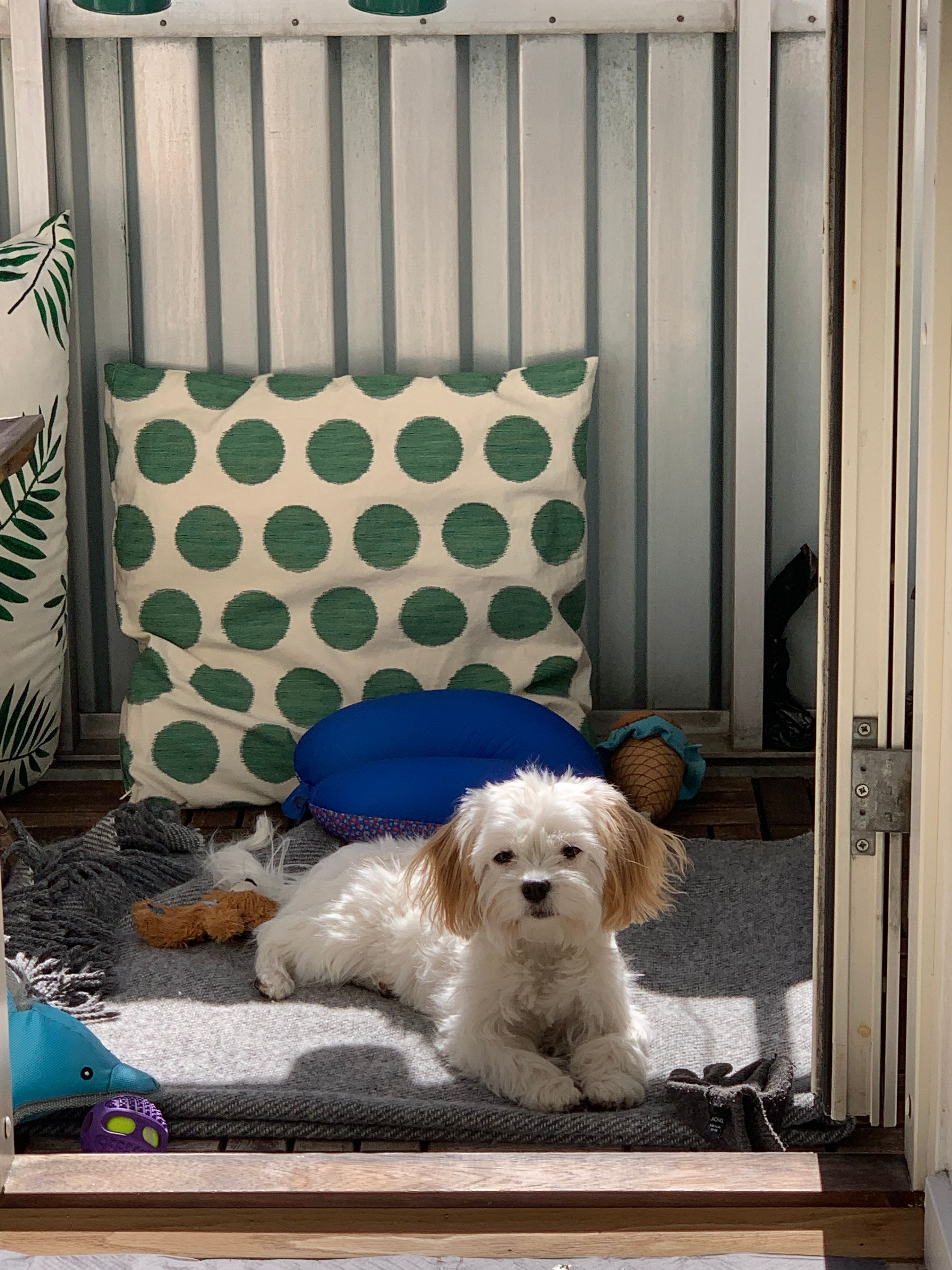 image-12