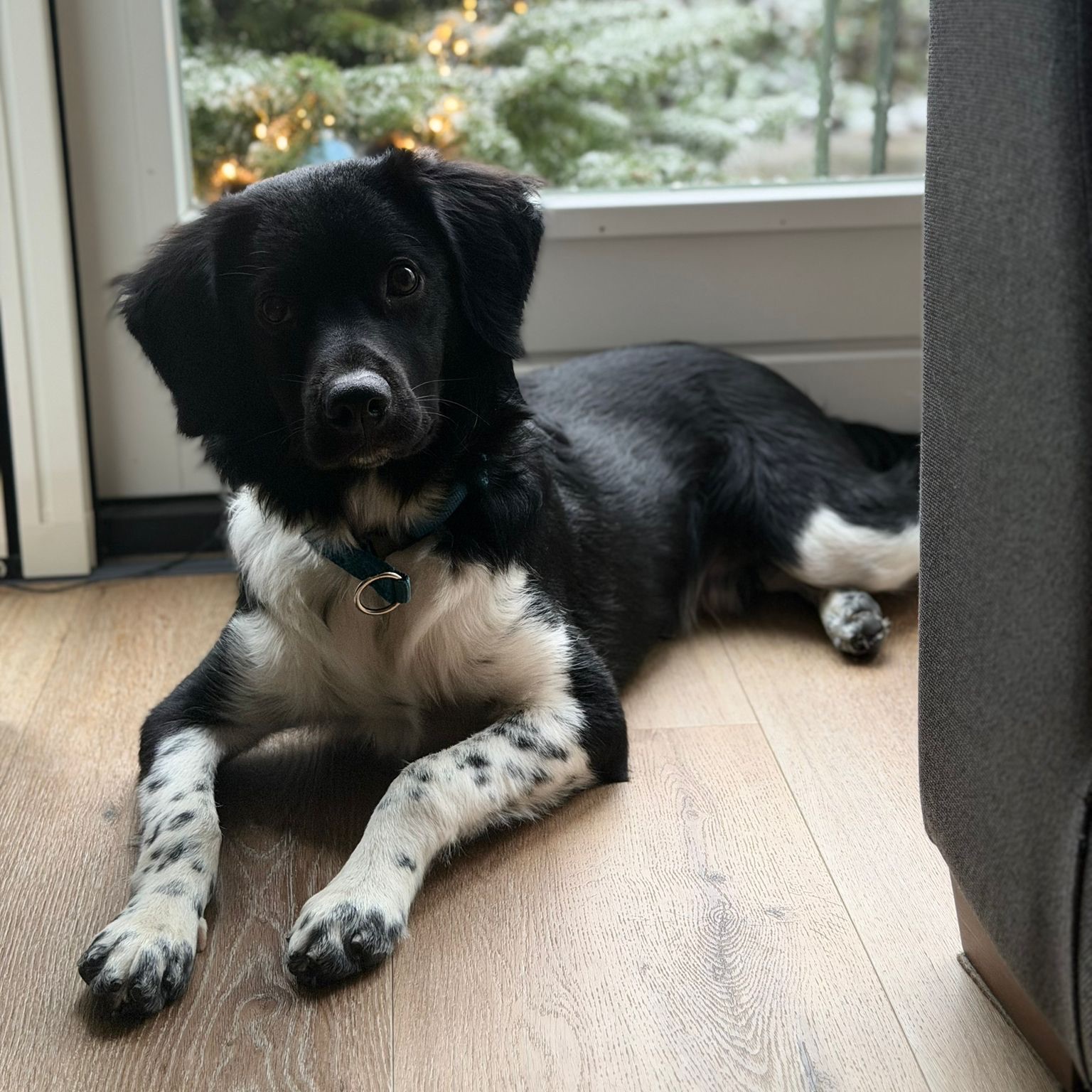 Max