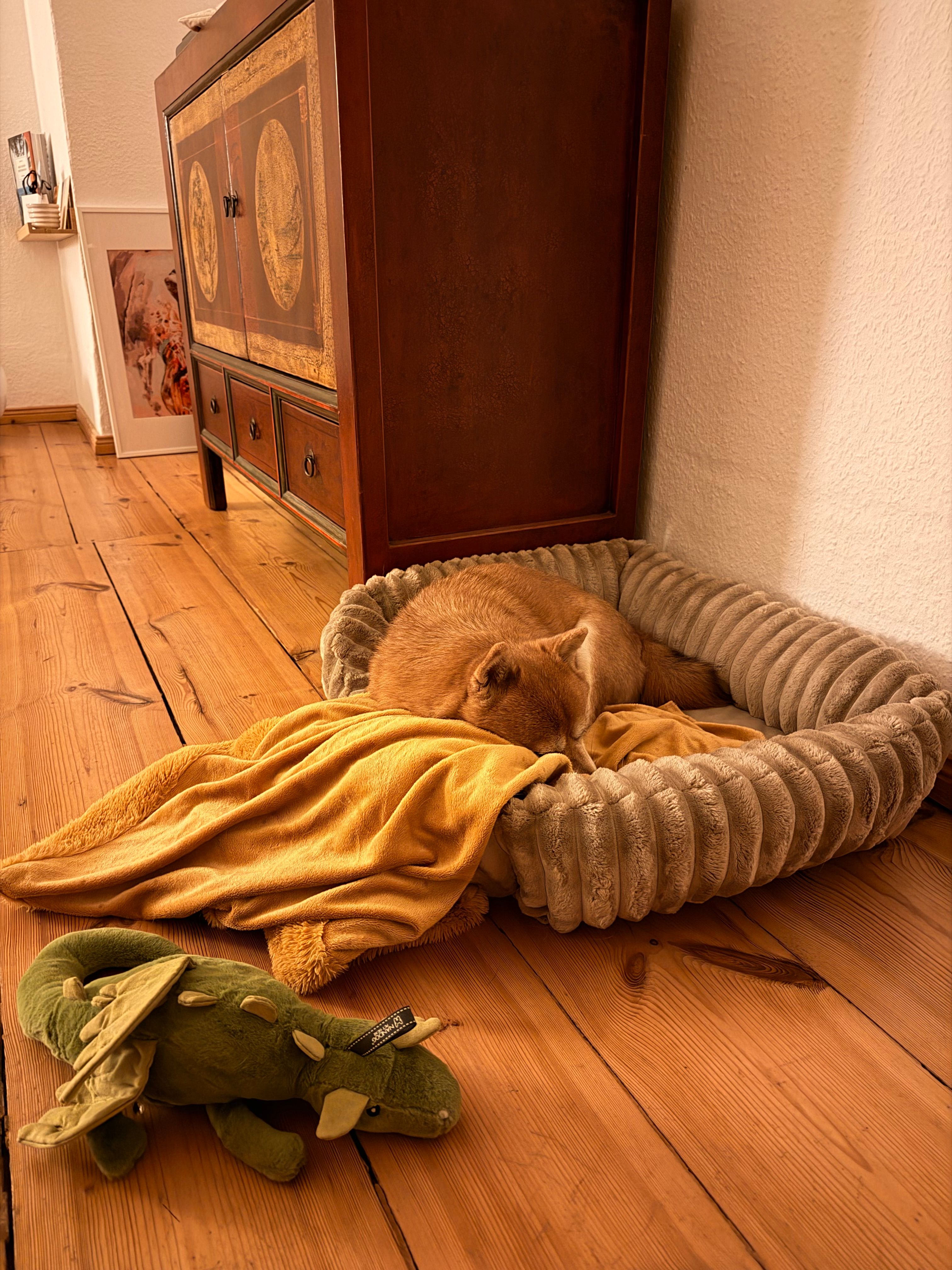 image-18