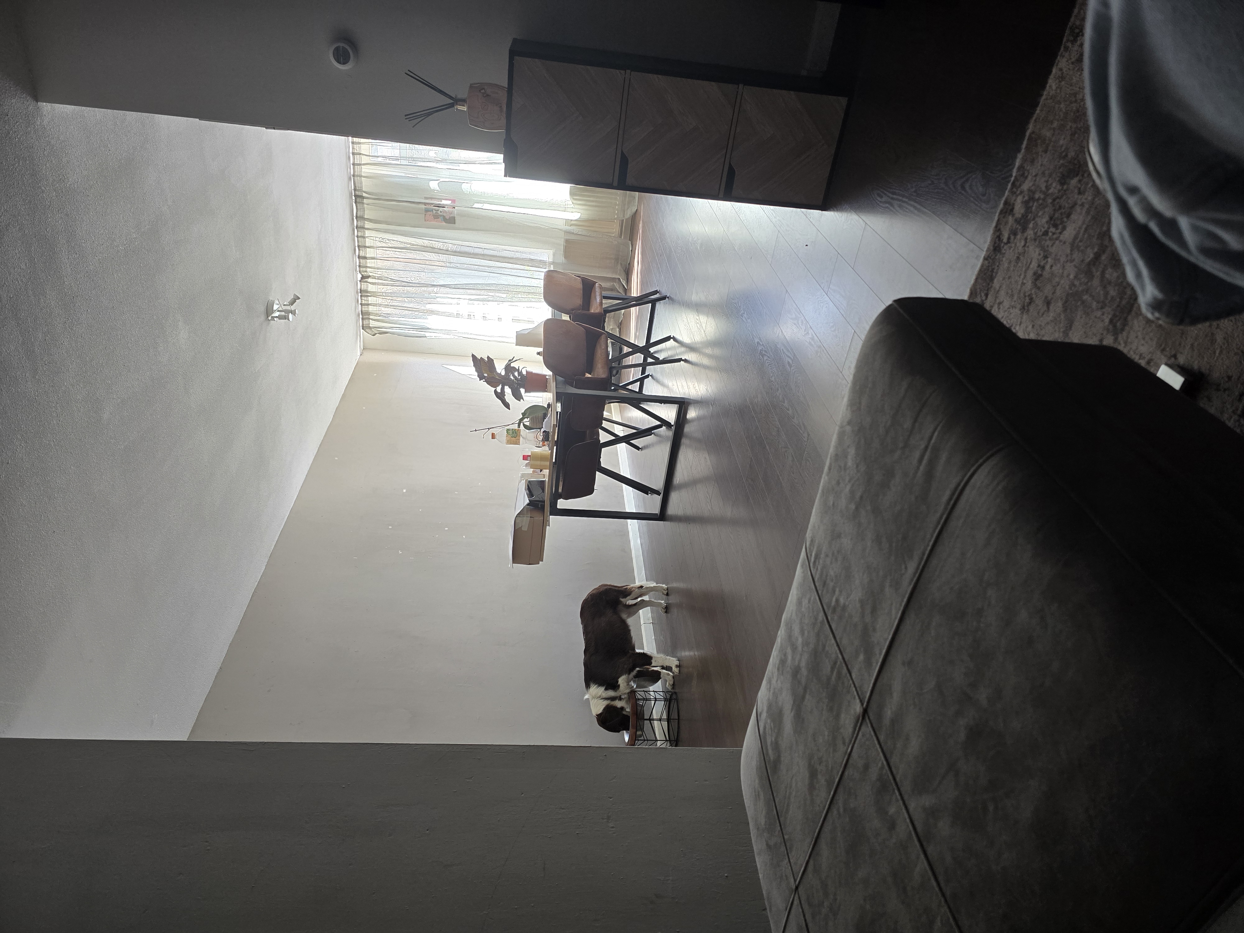 image-19