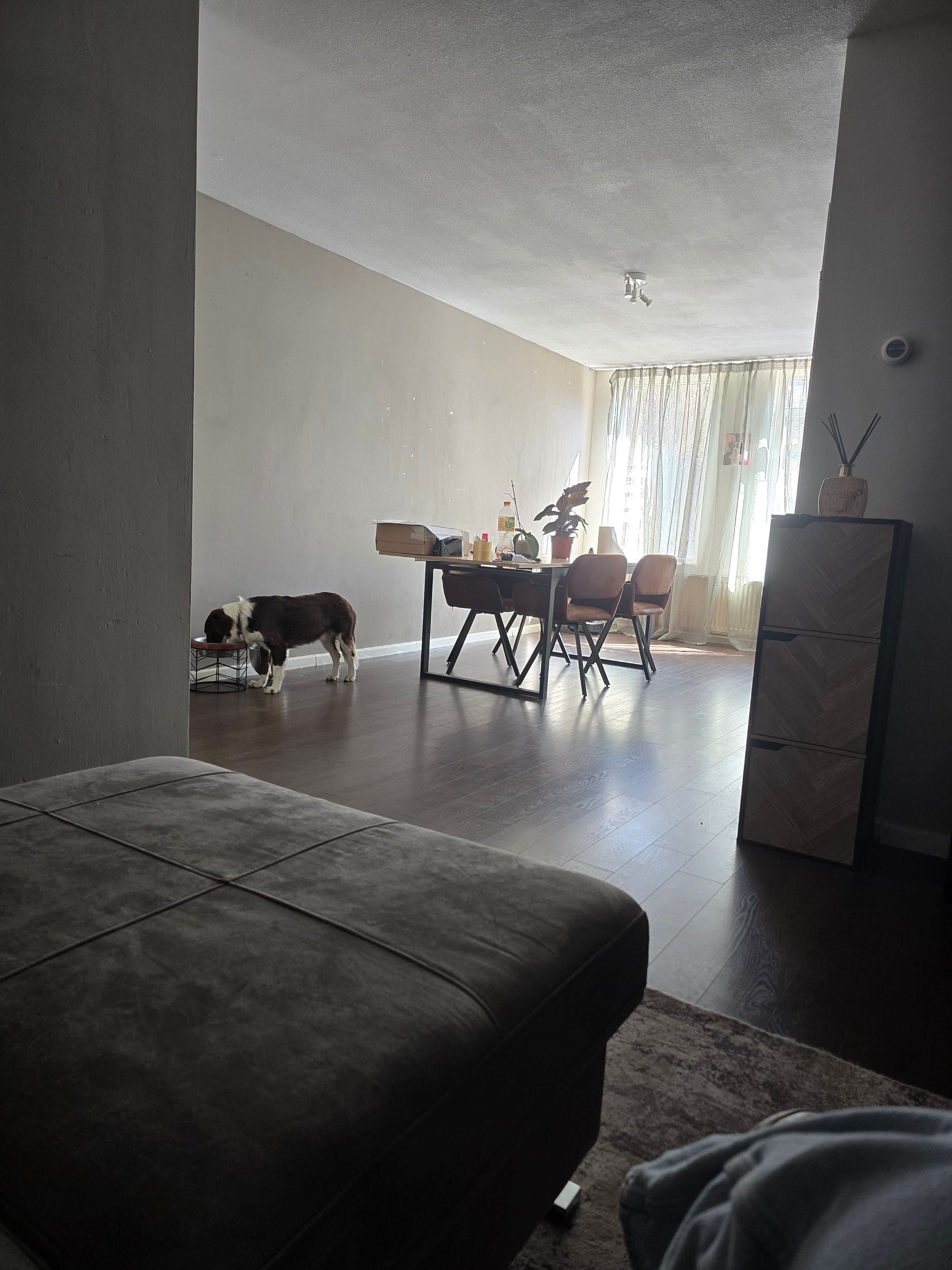 image-19