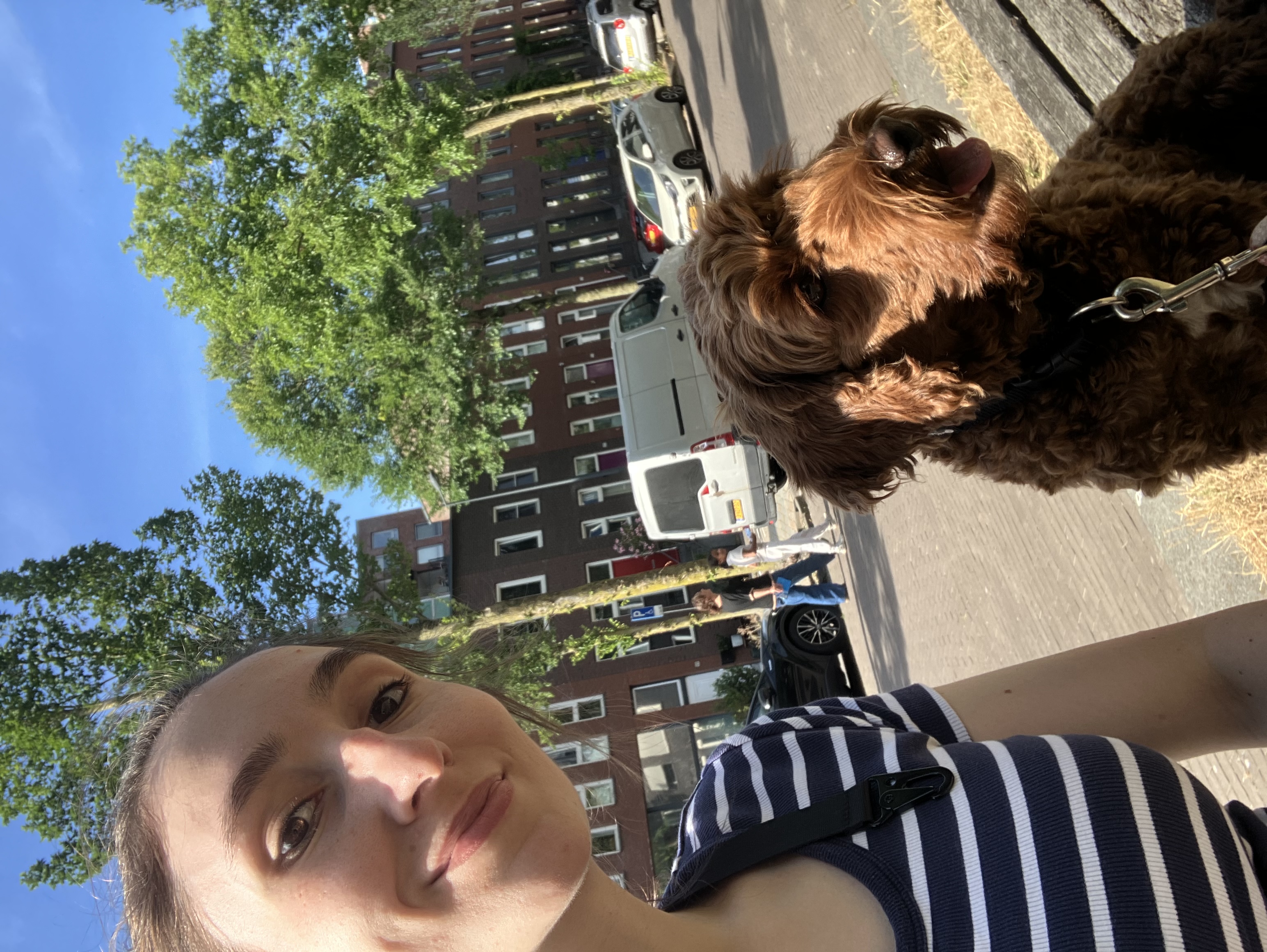 image-0