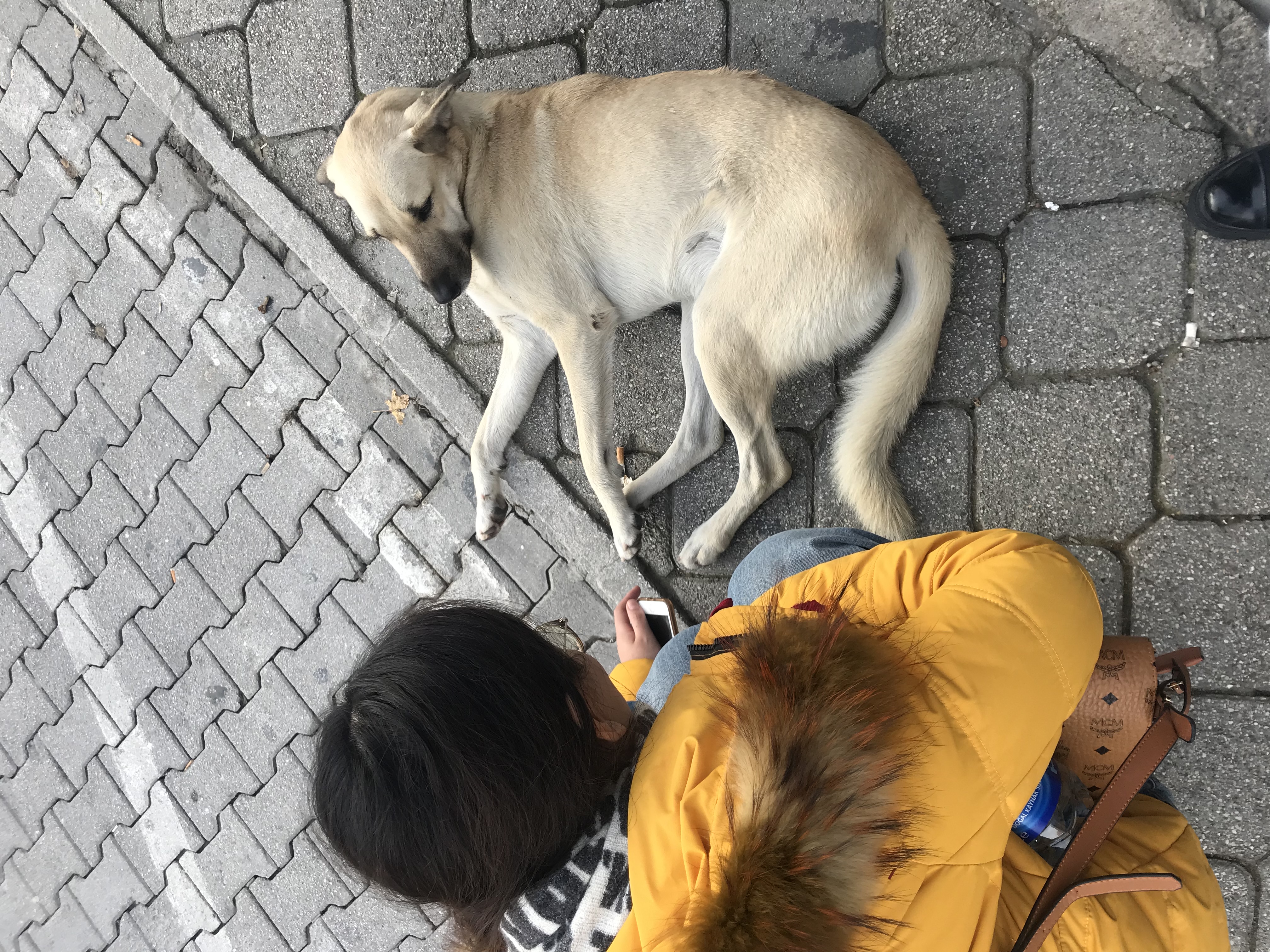 image-6