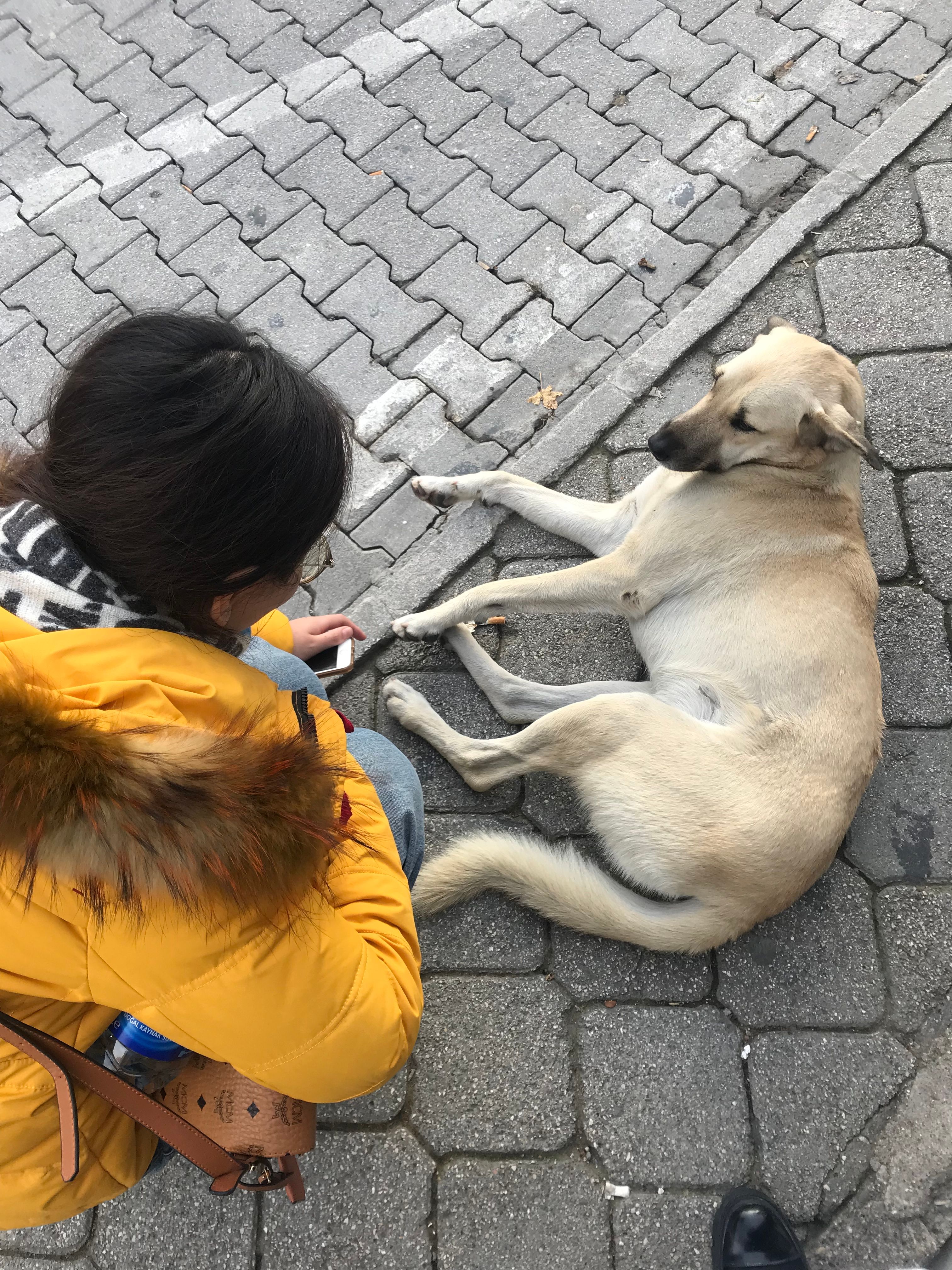 image-6